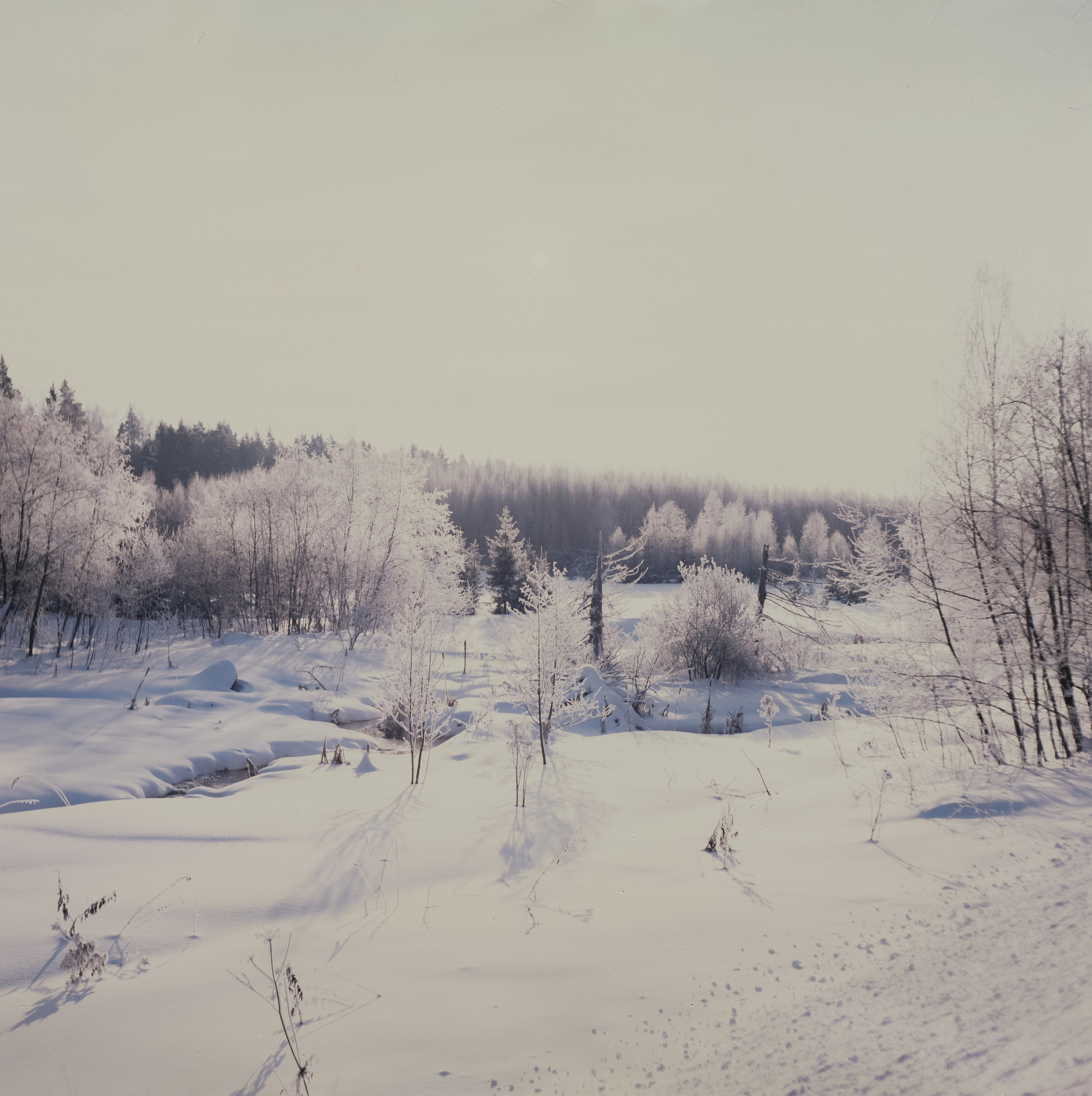 Welta Weltax — Fujichrome ASTIA 100 (at ISO 50) — Лукино морозное утро