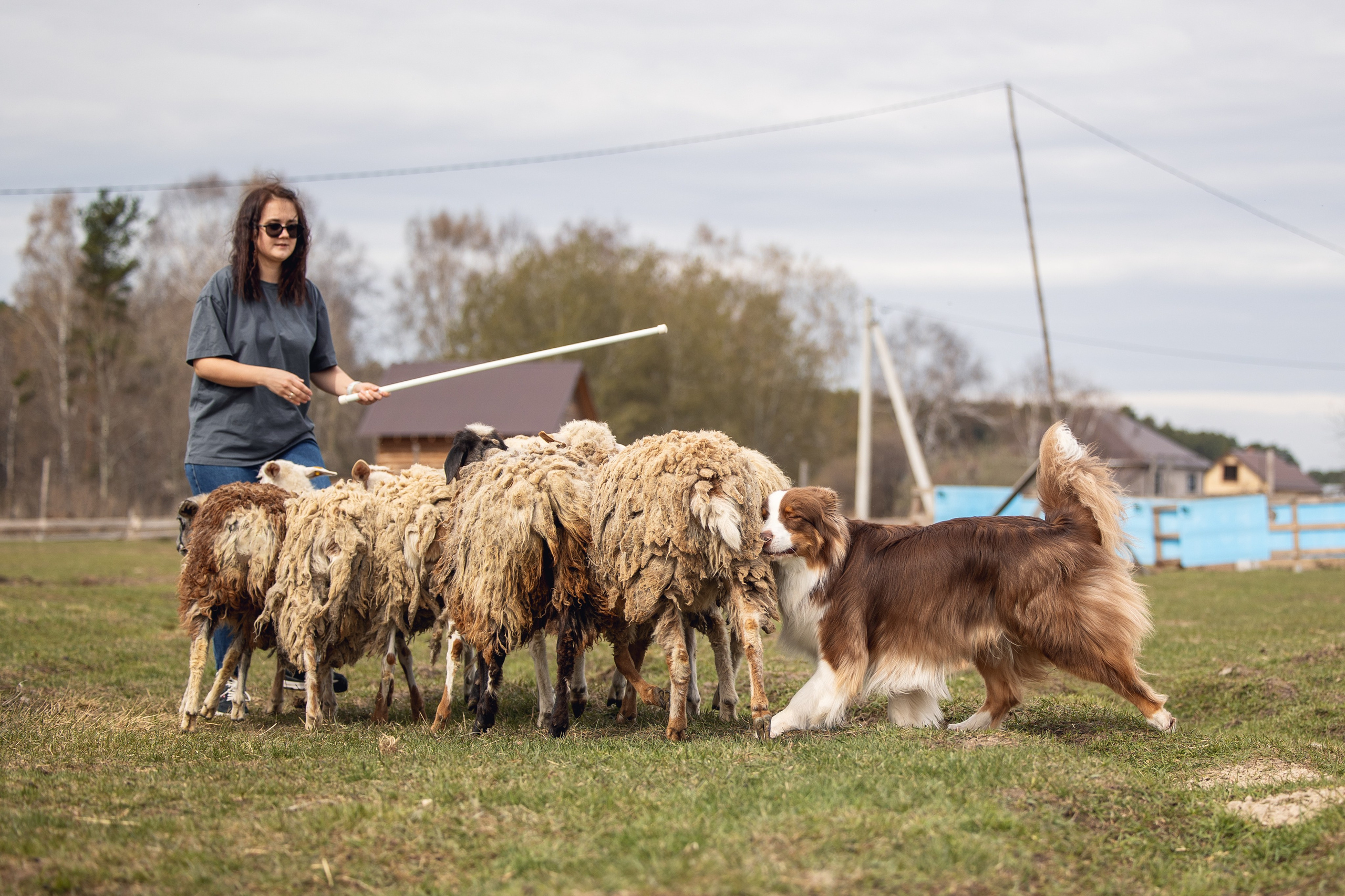 Анна и Вуди. YULA KOLESOVA | Фотограф — Анималист | Художник | Тюмень