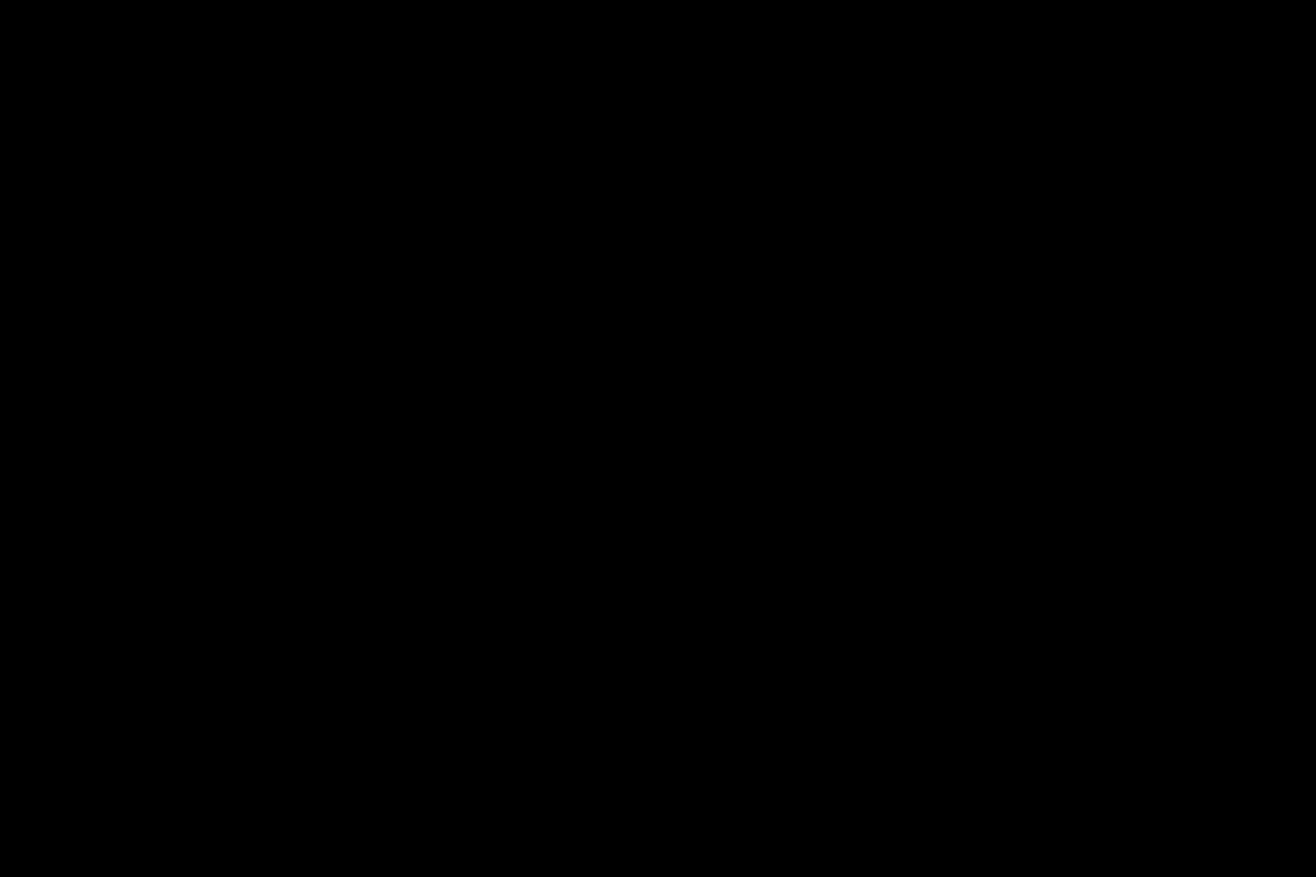 30 марта, г. Самара. Золотое яблочко