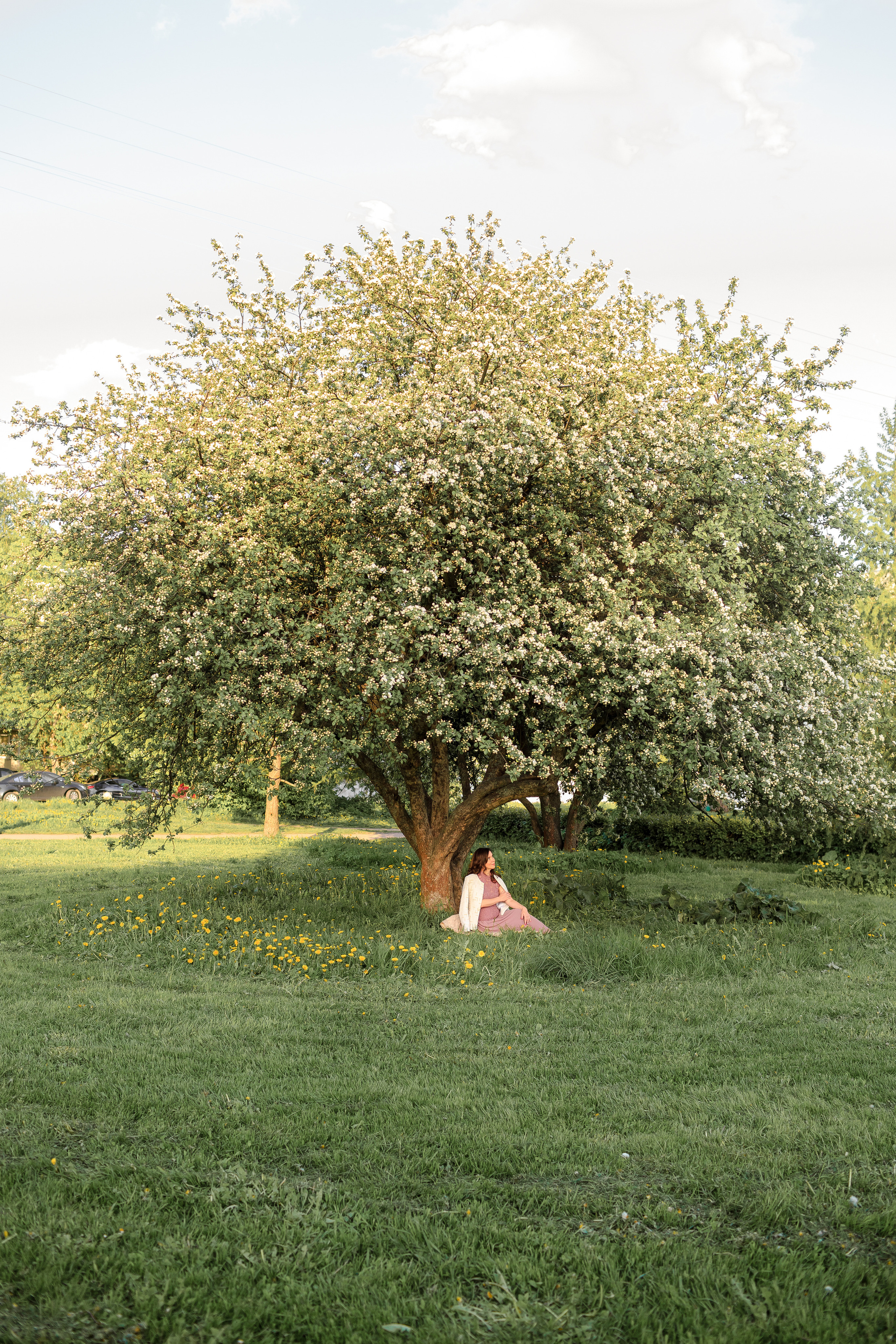 Фотосъемки в цветущих садах. Свадебный и семейный фотограф Спб Бошман Ирина