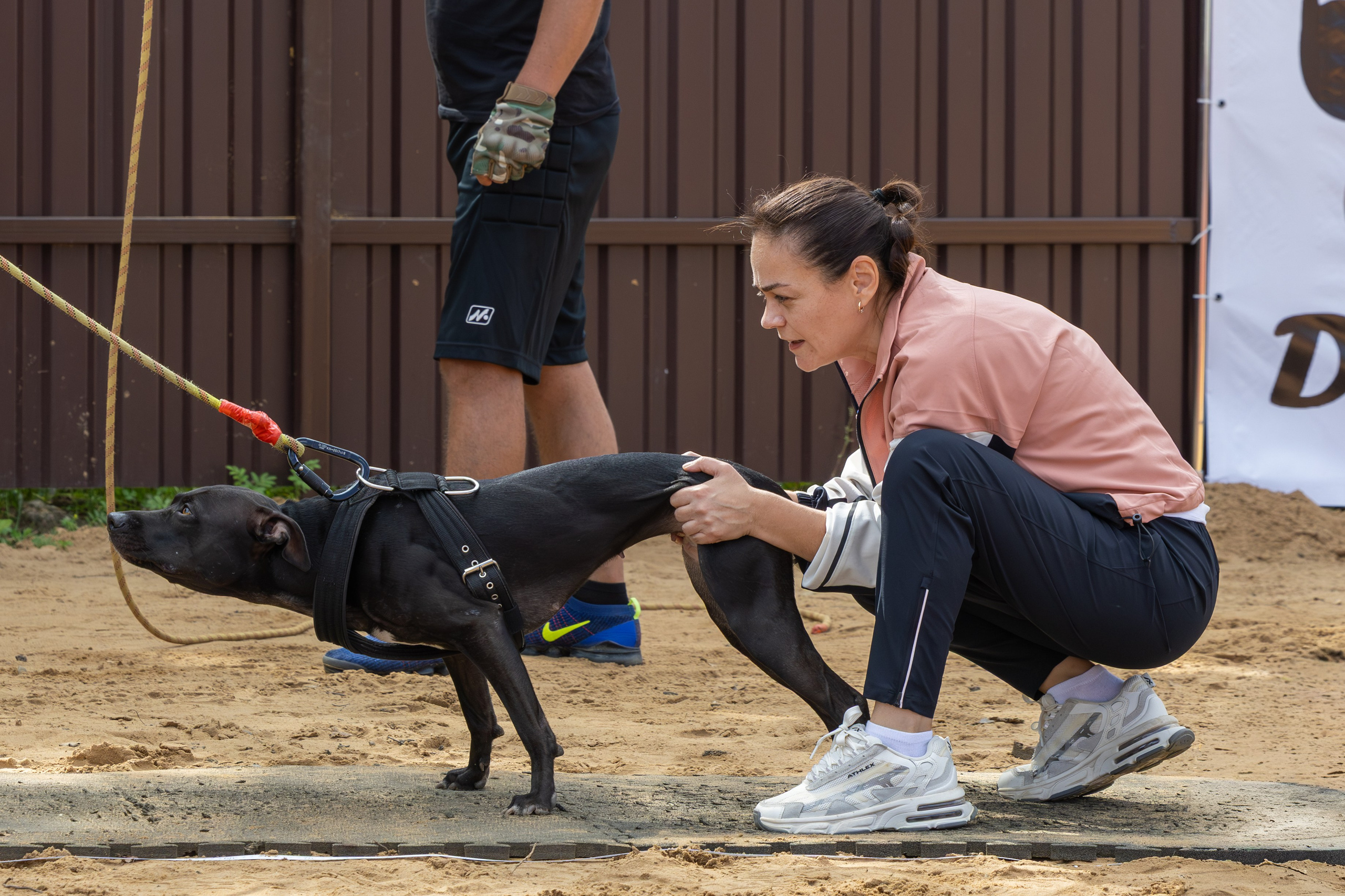 Jump'n'Gym. Виктория Михайловская. Фотограф-анималист. Москва