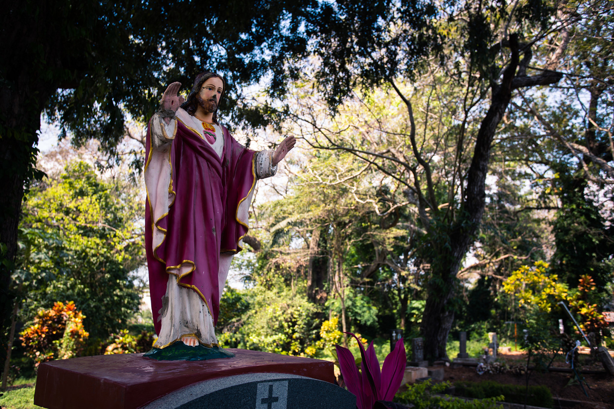 Colombo. Photographer Sonkina Tatiana (Tanya Ash)
