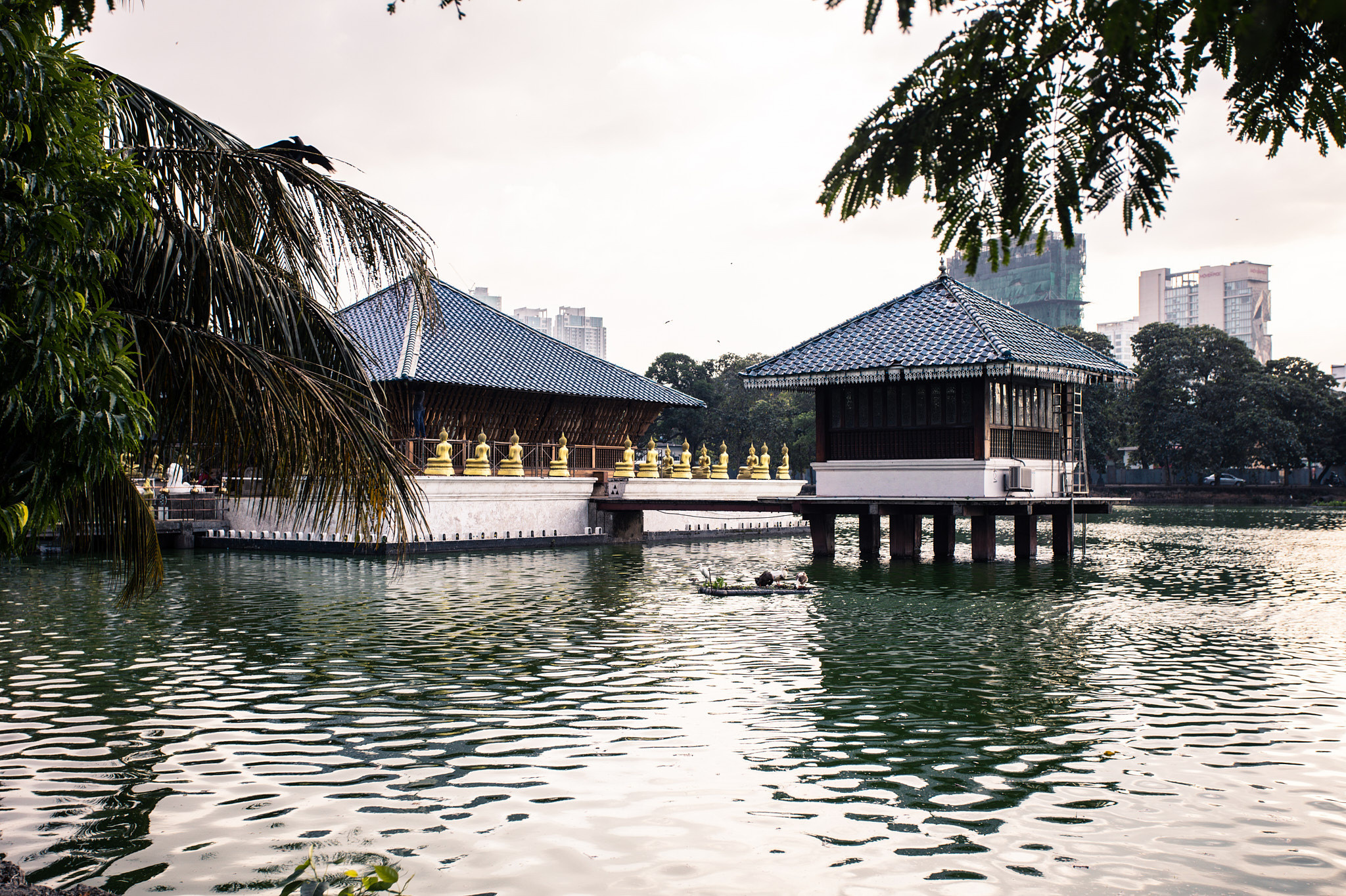 Colombo. Photographer Sonkina Tatiana (Tanya Ash)