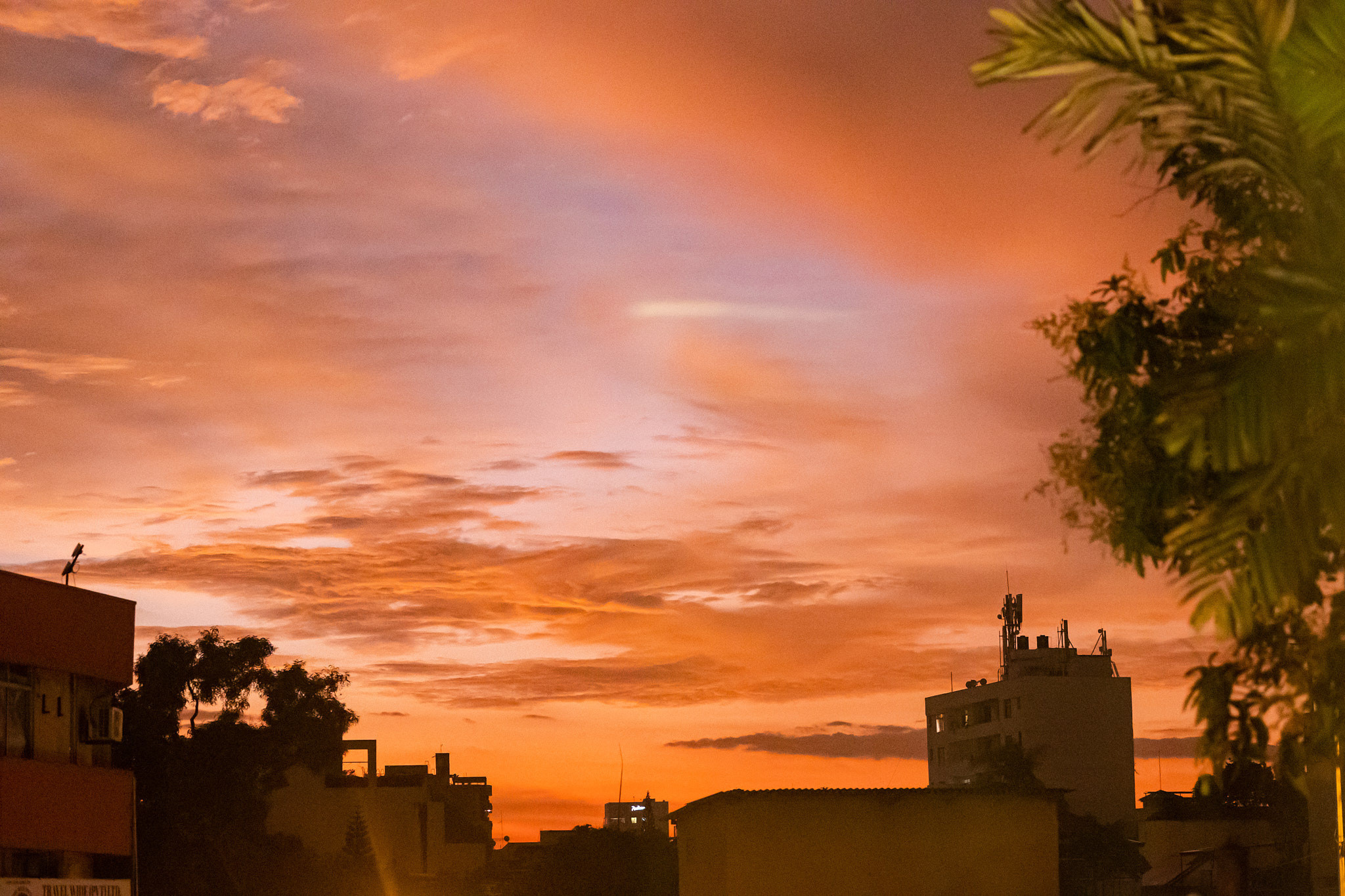 Colombo. Photographer Sonkina Tatiana (Tanya Ash)