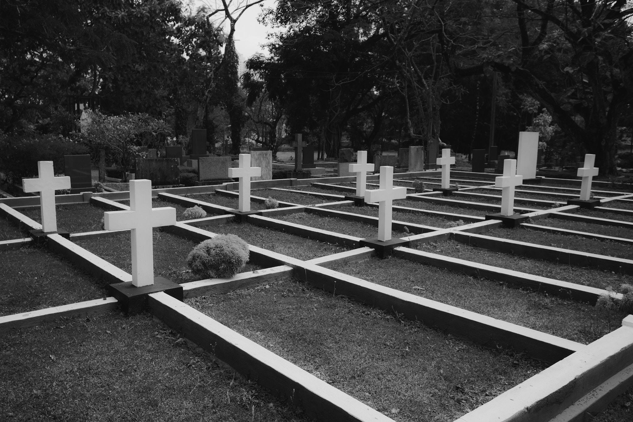 Colombo. Photographer Sonkina Tatiana (Tanya Ash)