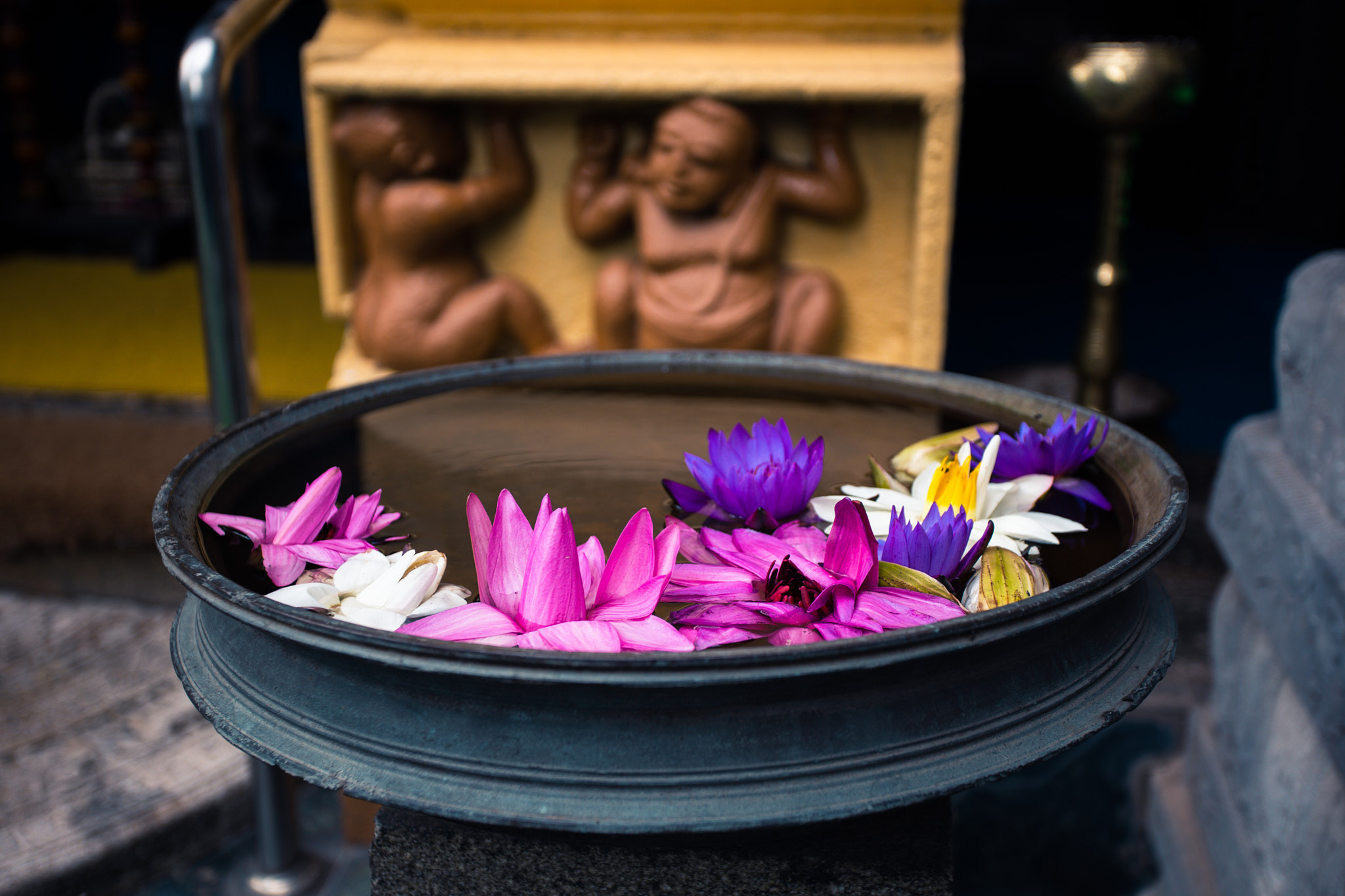 Colombo. Photographer Sonkina Tatiana (Tanya Ash)