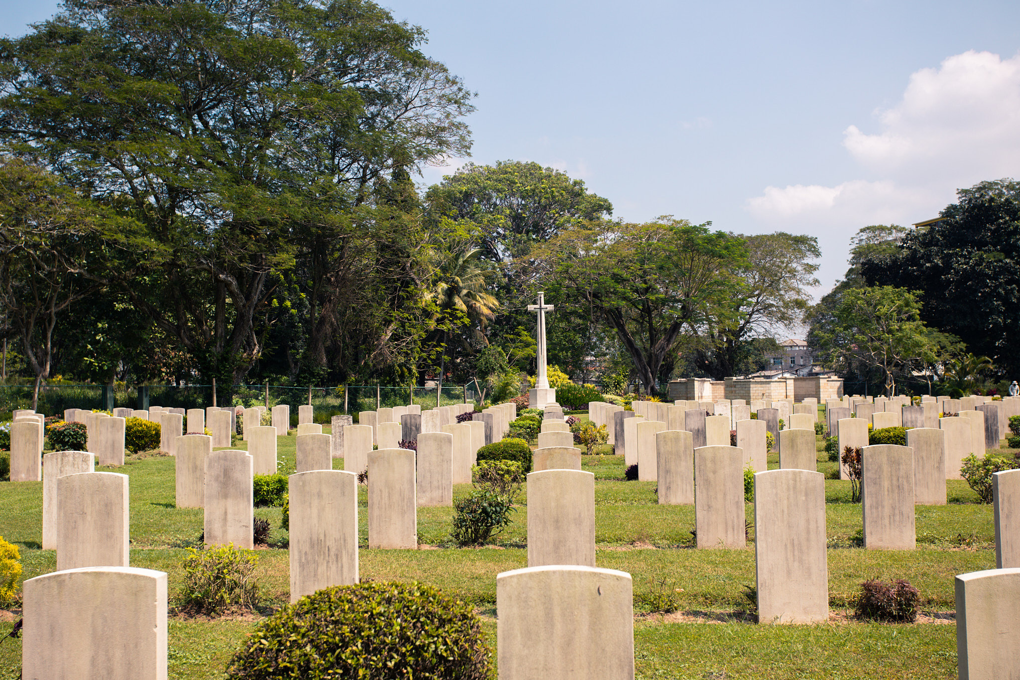Colombo. Photographer Sonkina Tatiana (Tanya Ash)