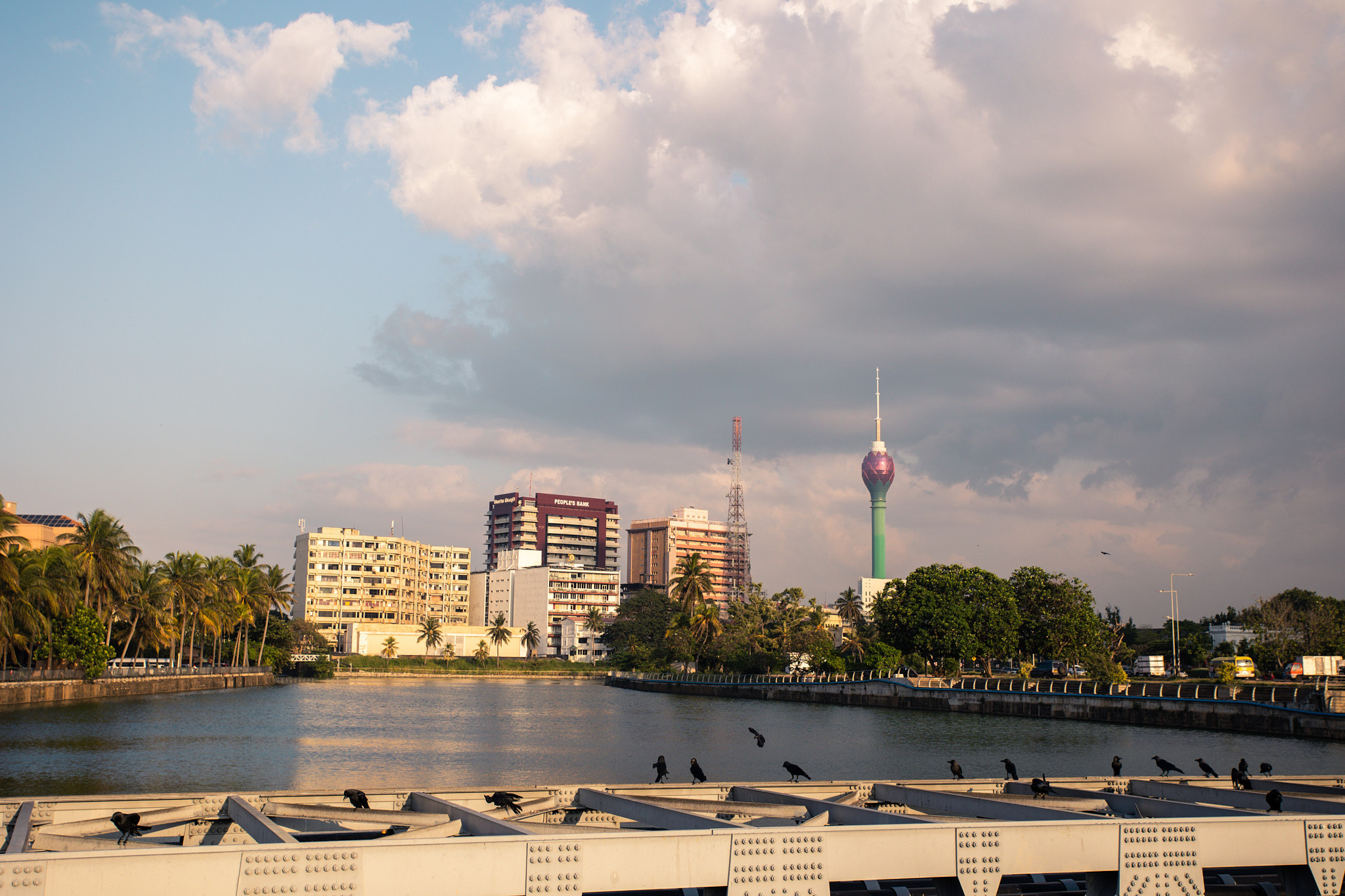 Colombo. Photographer Sonkina Tatiana (Tanya Ash)
