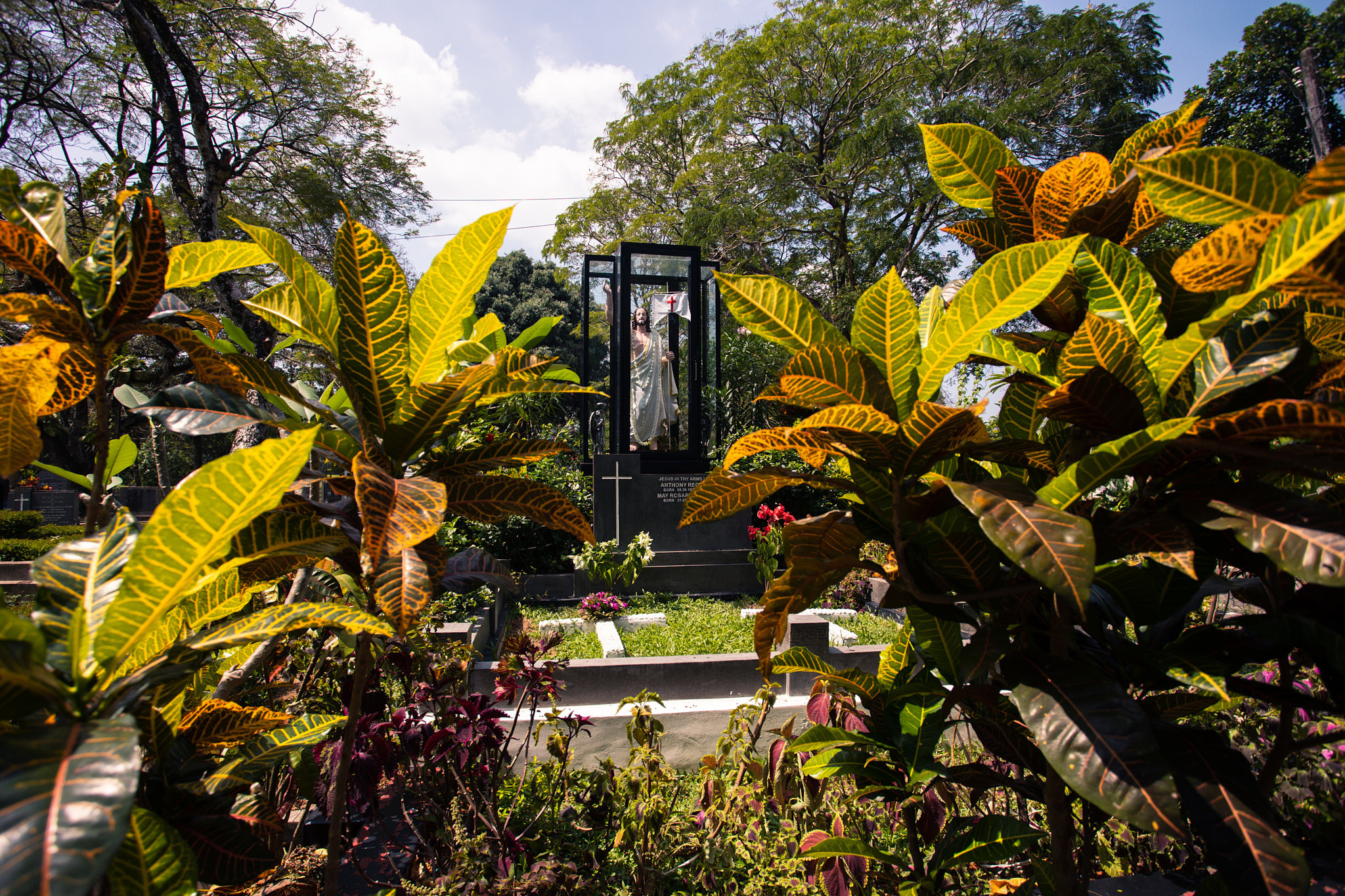 Colombo. Photographer Sonkina Tatiana (Tanya Ash)