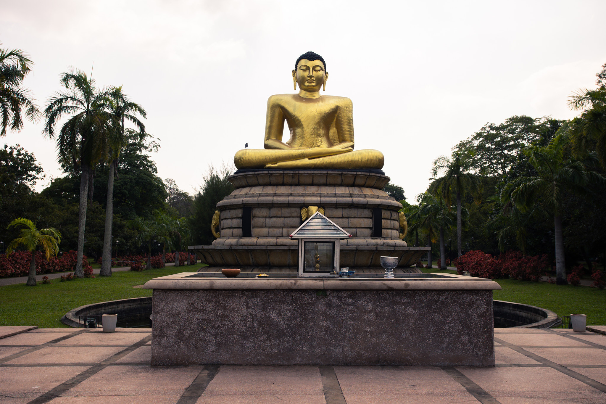 Colombo. Photographer Sonkina Tatiana (Tanya Ash)