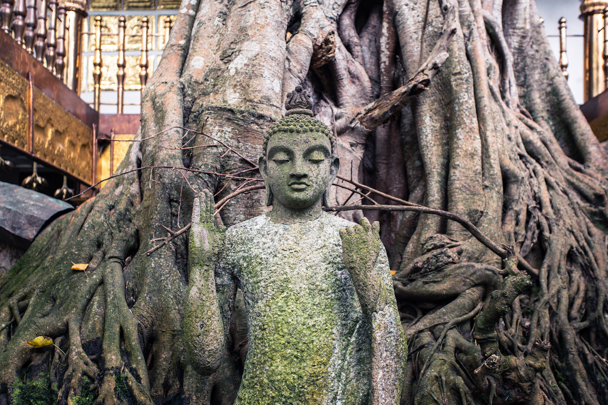 Colombo. Photographer Sonkina Tatiana (Tanya Ash)