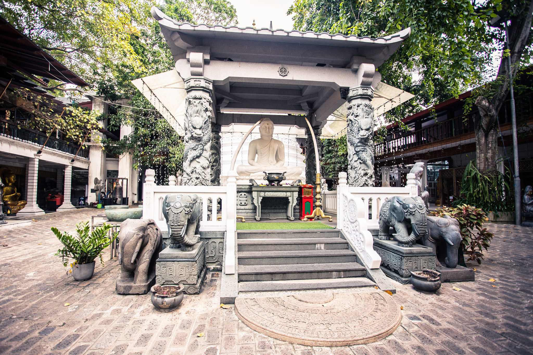 Colombo. Photographer Sonkina Tatiana (Tanya Ash)