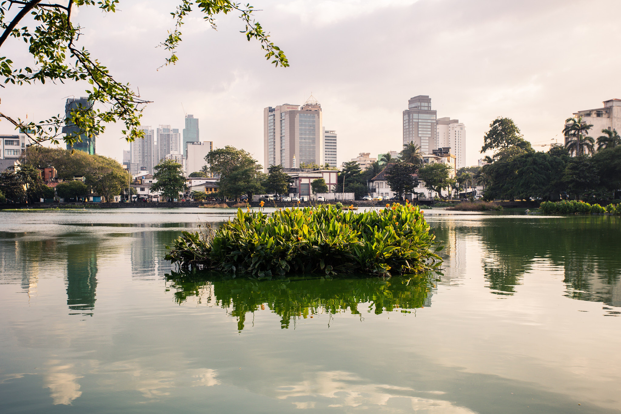 Colombo. Photographer Sonkina Tatiana (Tanya Ash)