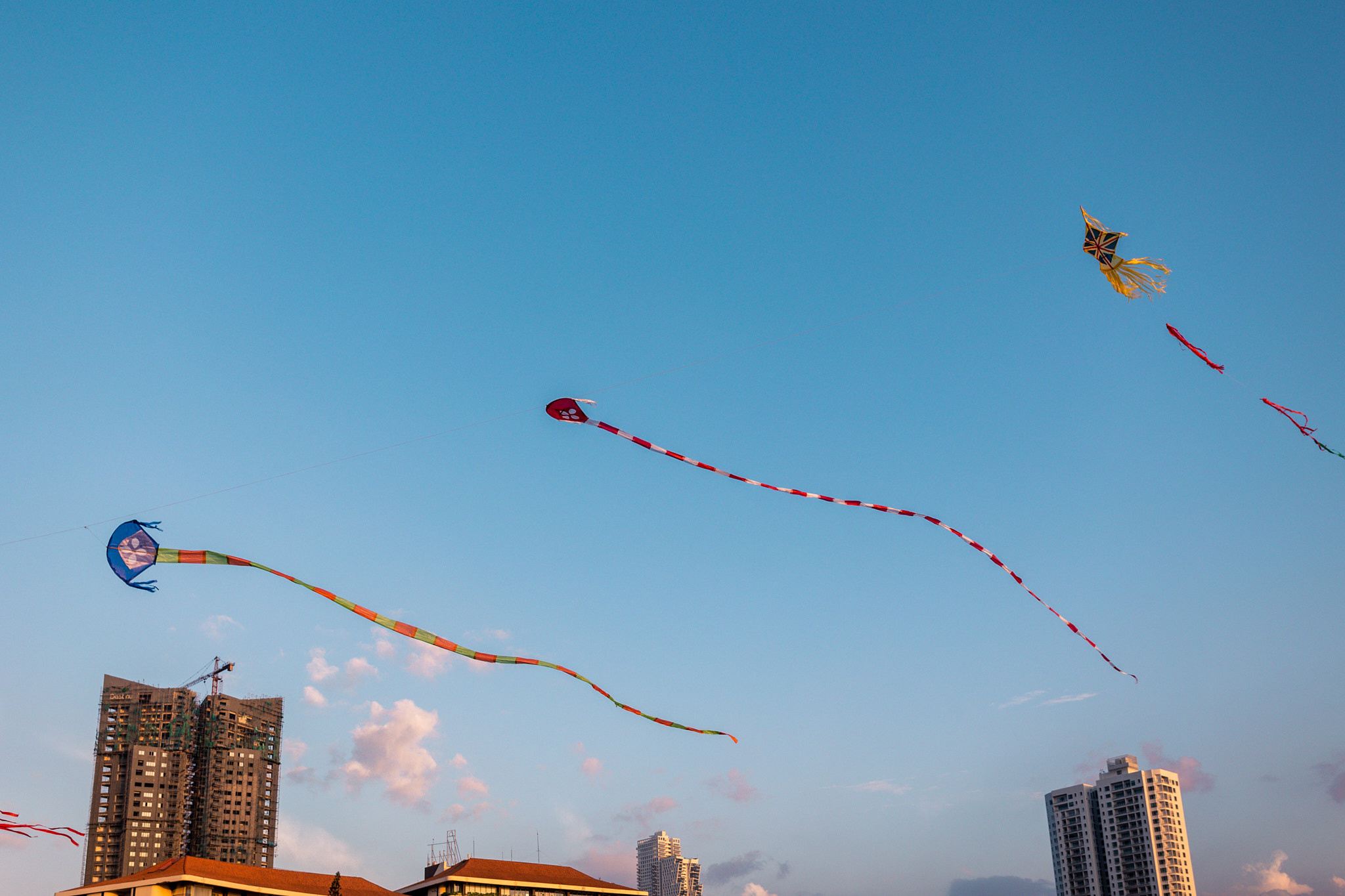 Colombo. Photographer Sonkina Tatiana (Tanya Ash)
