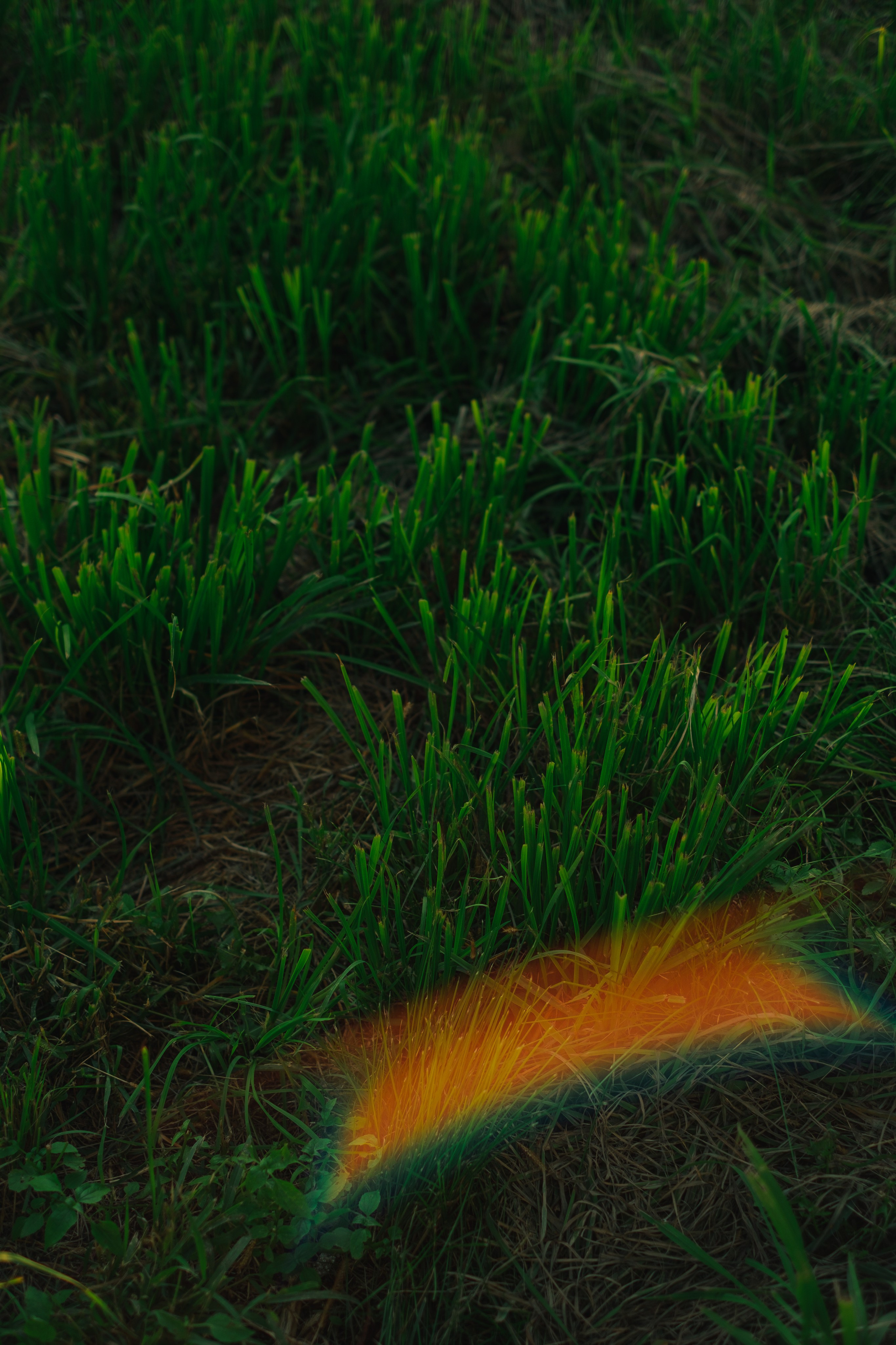 Прайс. Фотограф Благовещенска Яна