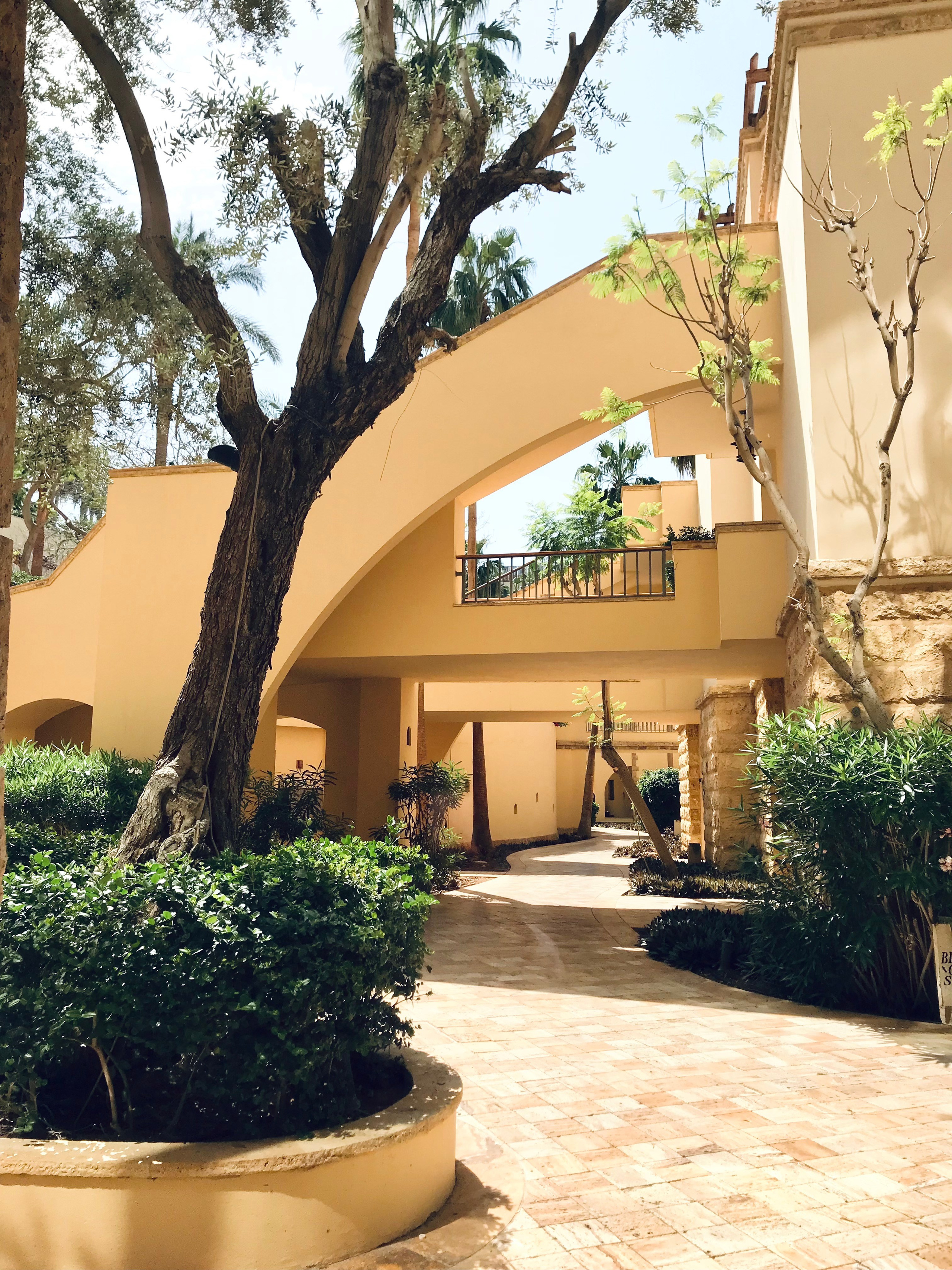 Иордания. Портретный фотограф в Москве Гульнара Миннуллина