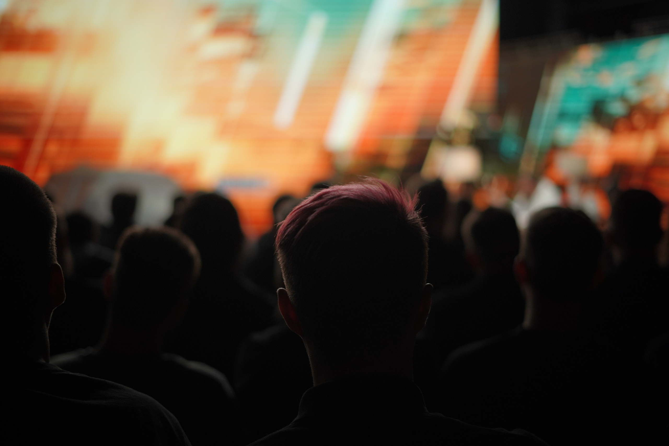 Галерея. Beardy Pix
