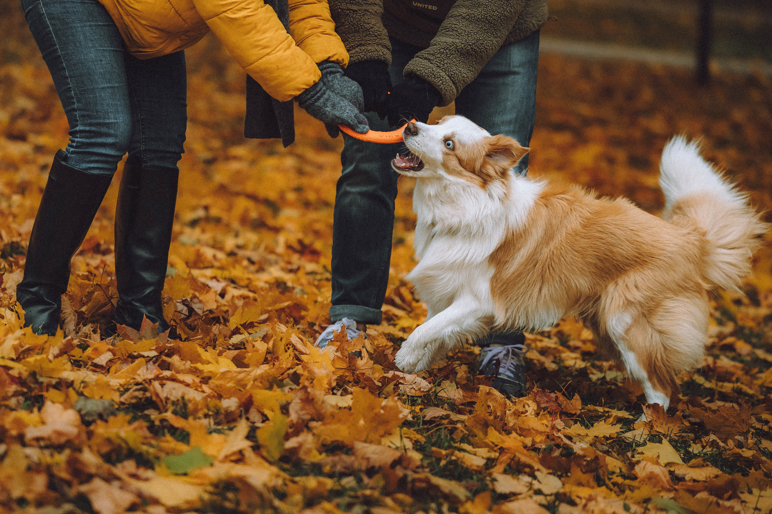 Алина, Витя и Асти