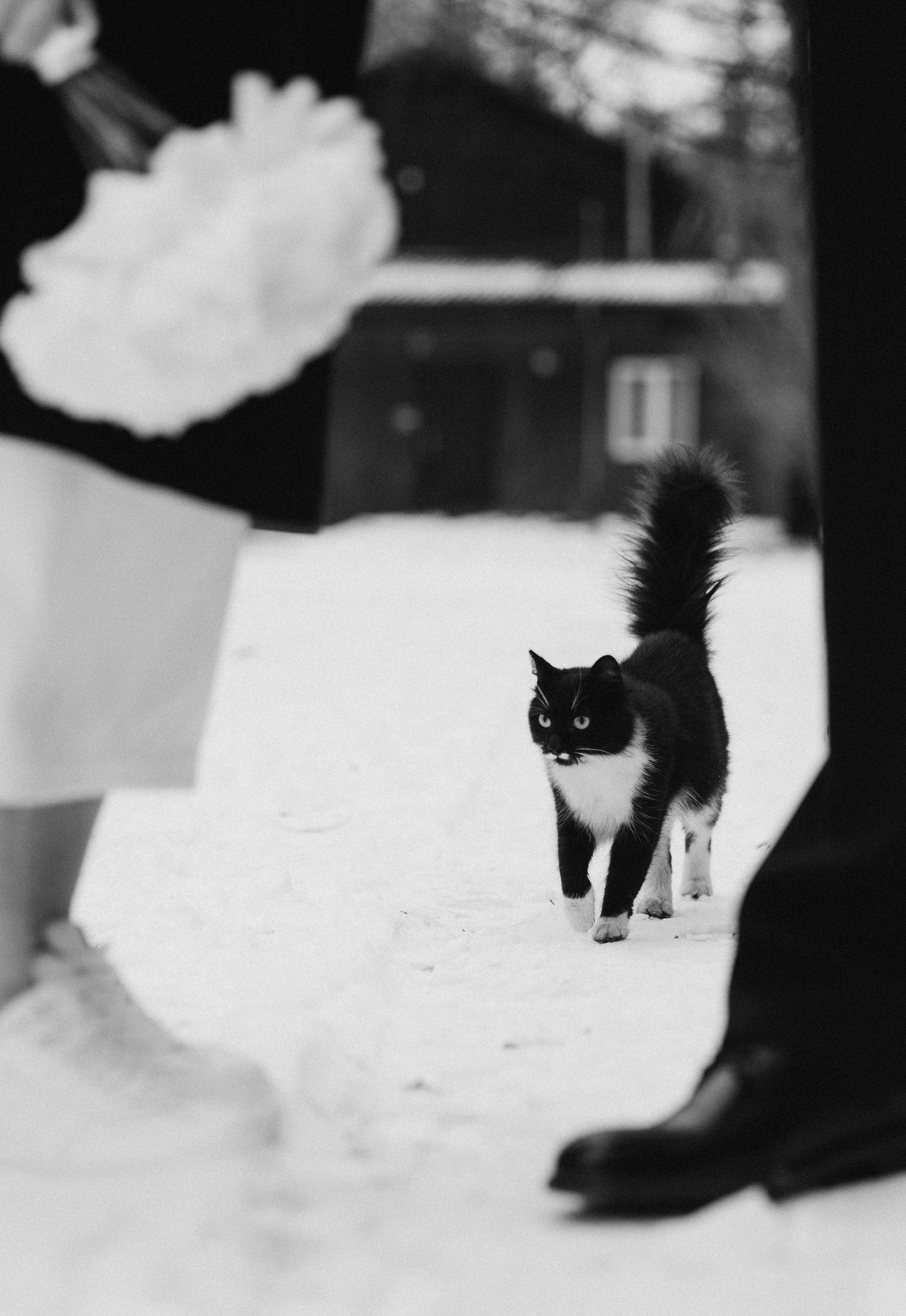 Алеся и Юра. Lifestyle семейный и детский фотограф в Омске Иванова Екатерина
