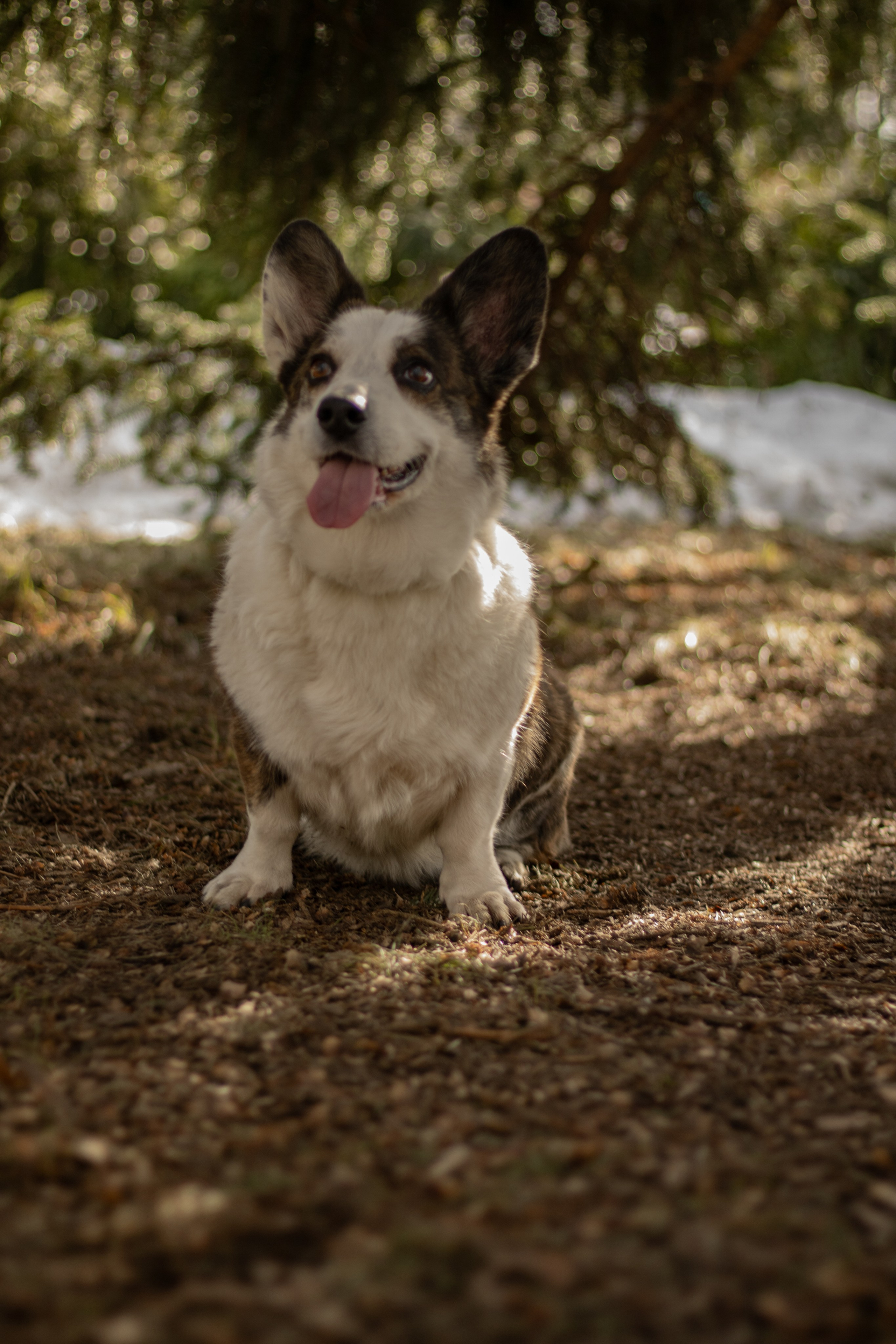 Юлия и Тэя. Катя Попова|ЛайфСтайл фотограф