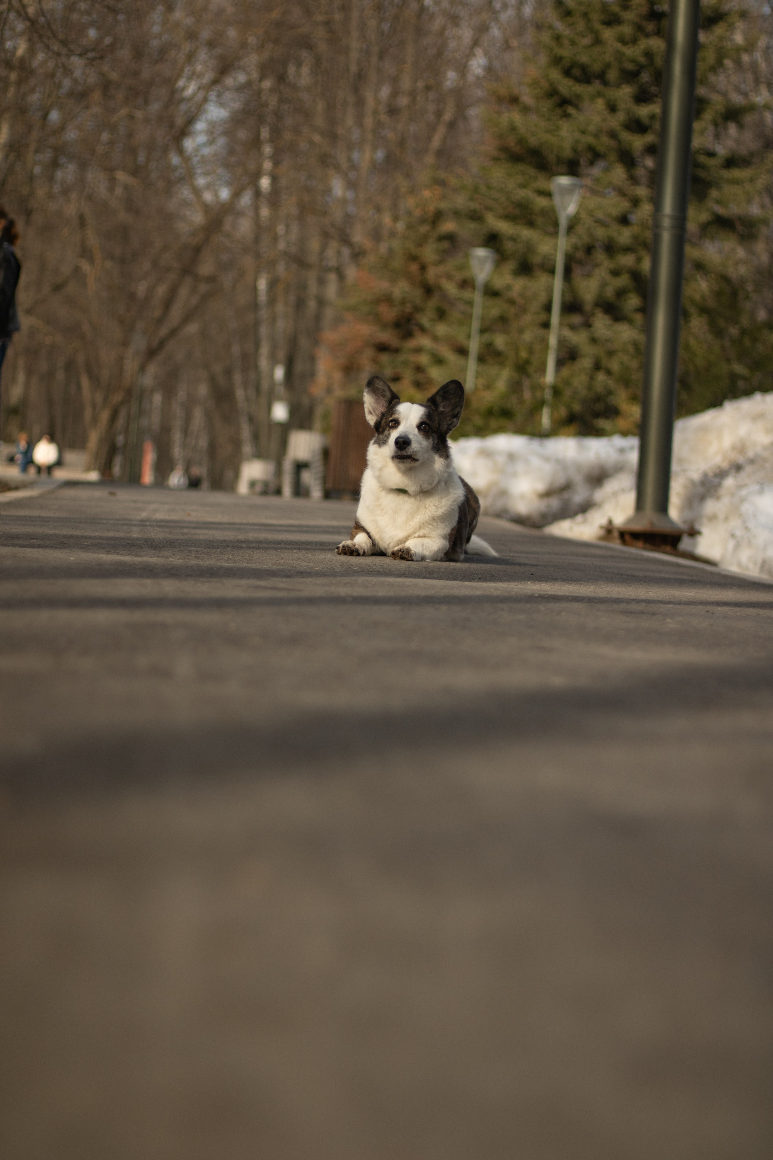 Юлия и Тэя. Катя Попова|ЛайфСтайл фотограф