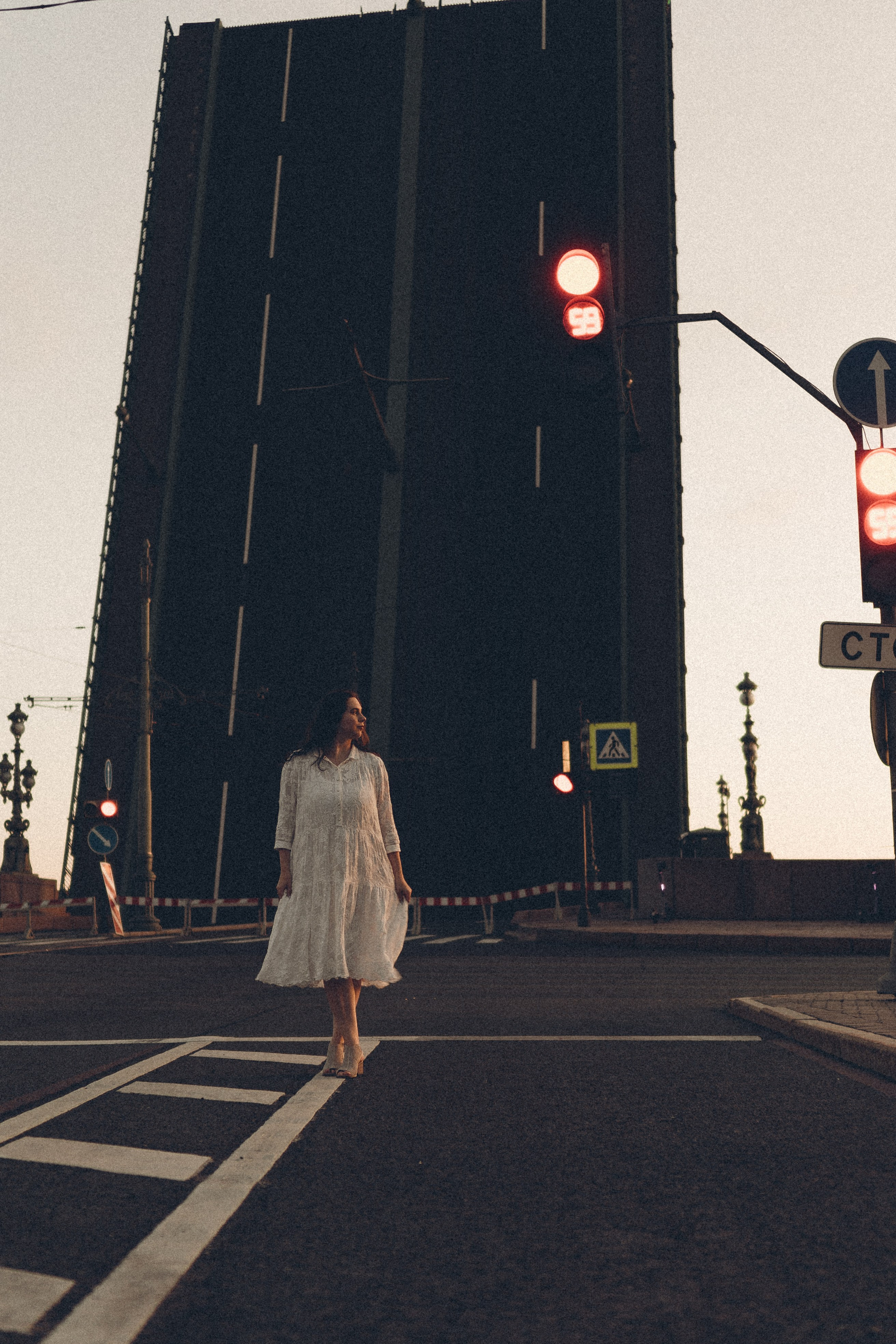 РАССВЕТ С РАЗВОДНЫМИ МОСТАМИ. Профессиональный фотограф, Санкт-Петербург — Виктория Богомолова