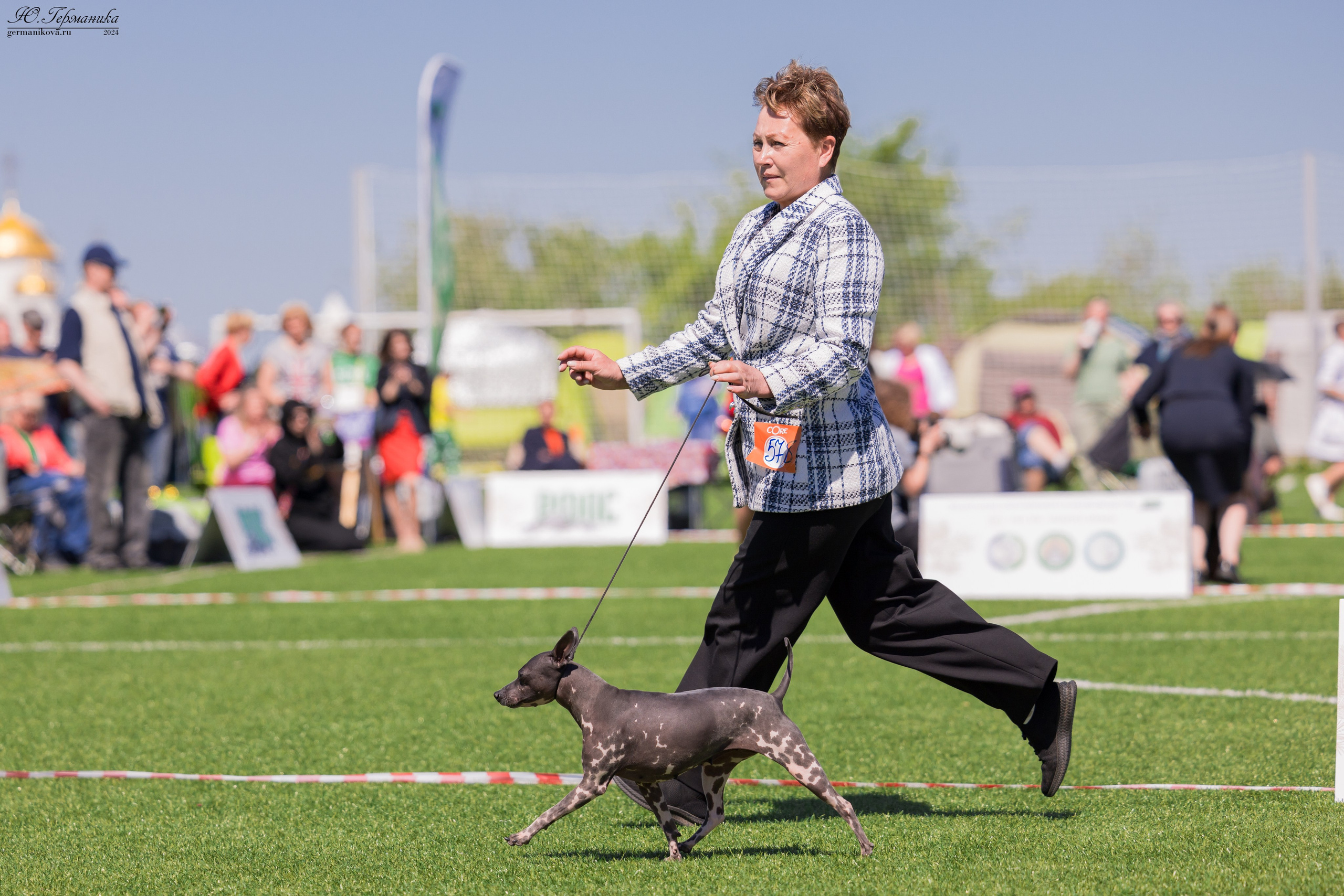 Суздаль 18-19.05.2024. Фотограф-анималист Юлия Германика
