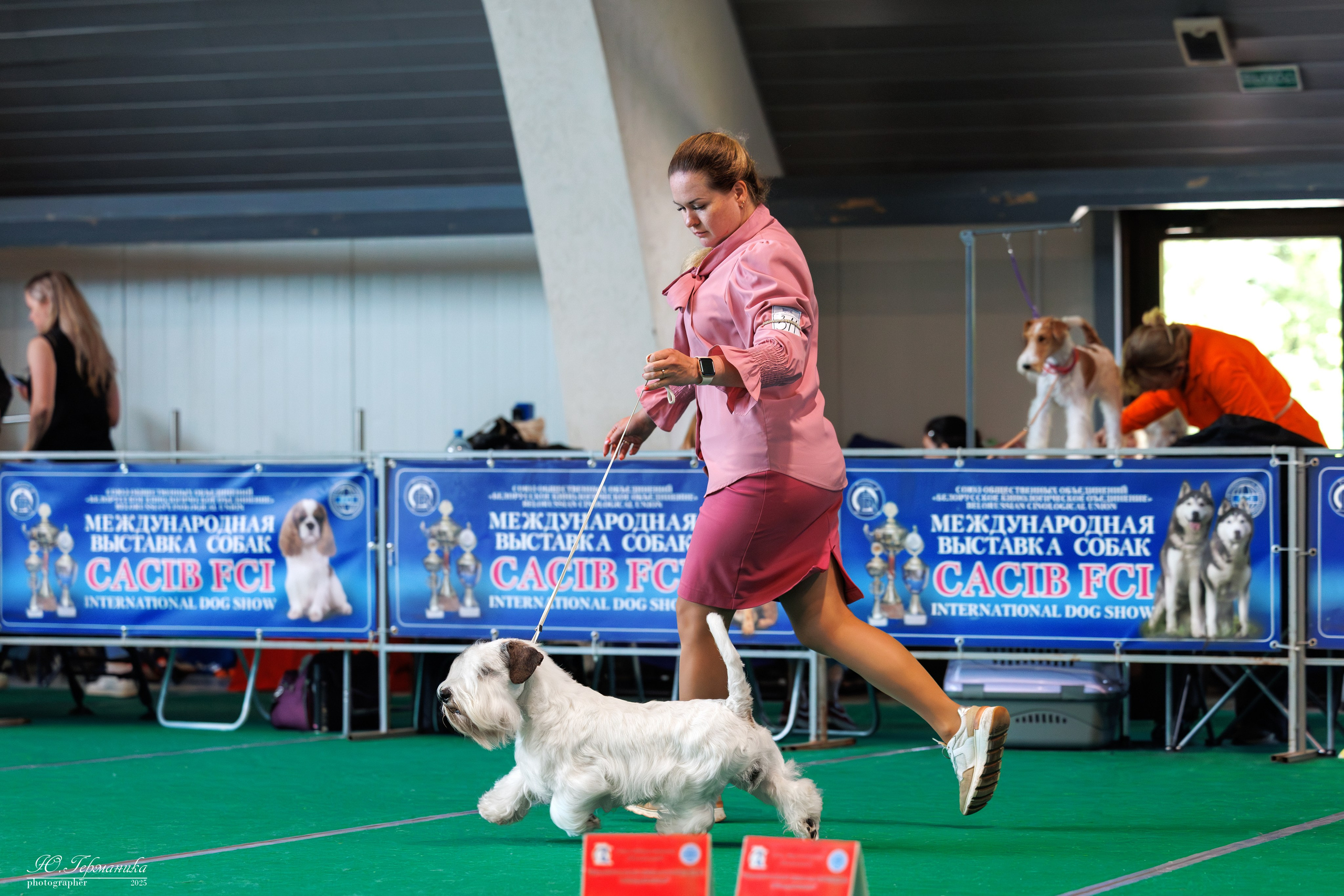 Минск 31.05-1.06.2025. Фотограф-анималист Юлия Германика