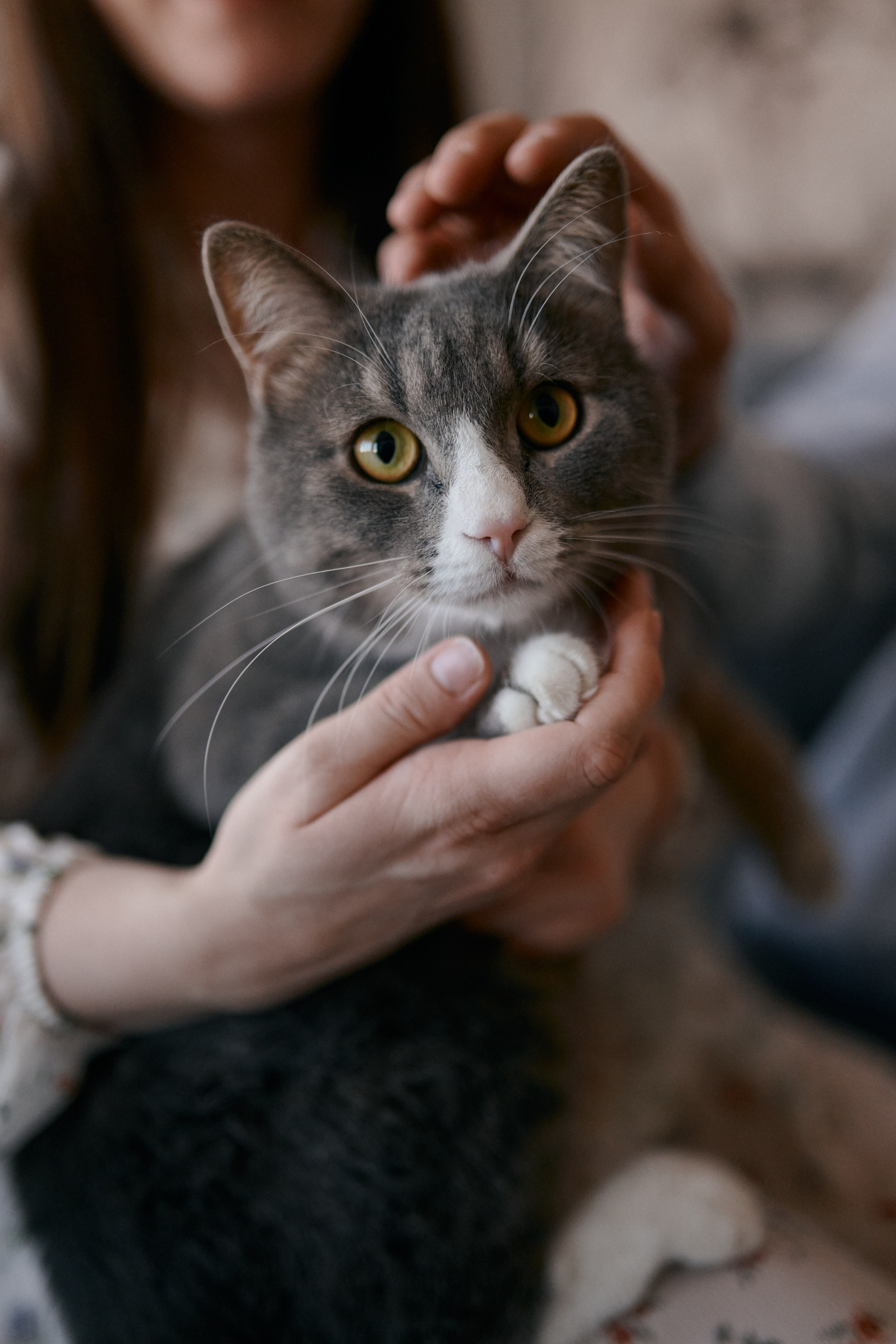 Фотоистория одной пиццы. Сергей Богомолов. Свадебный и семейный фотограф