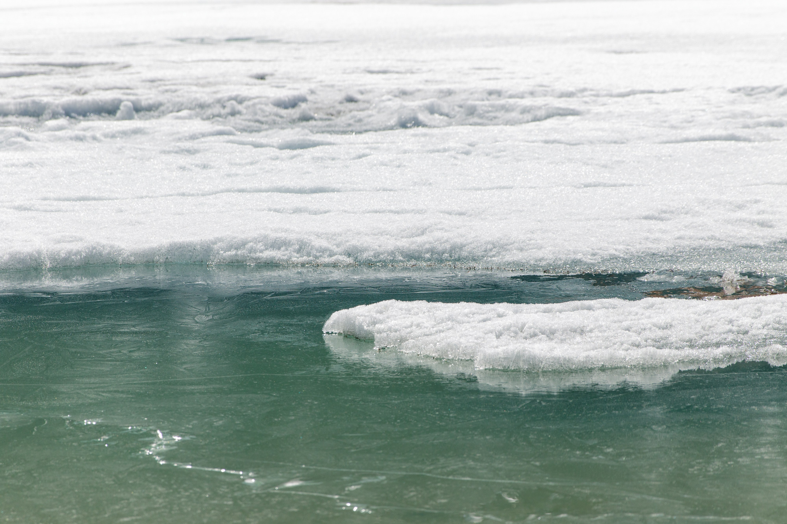 Горный Алтай. Фотограф Кирилл Мешков Кемерово