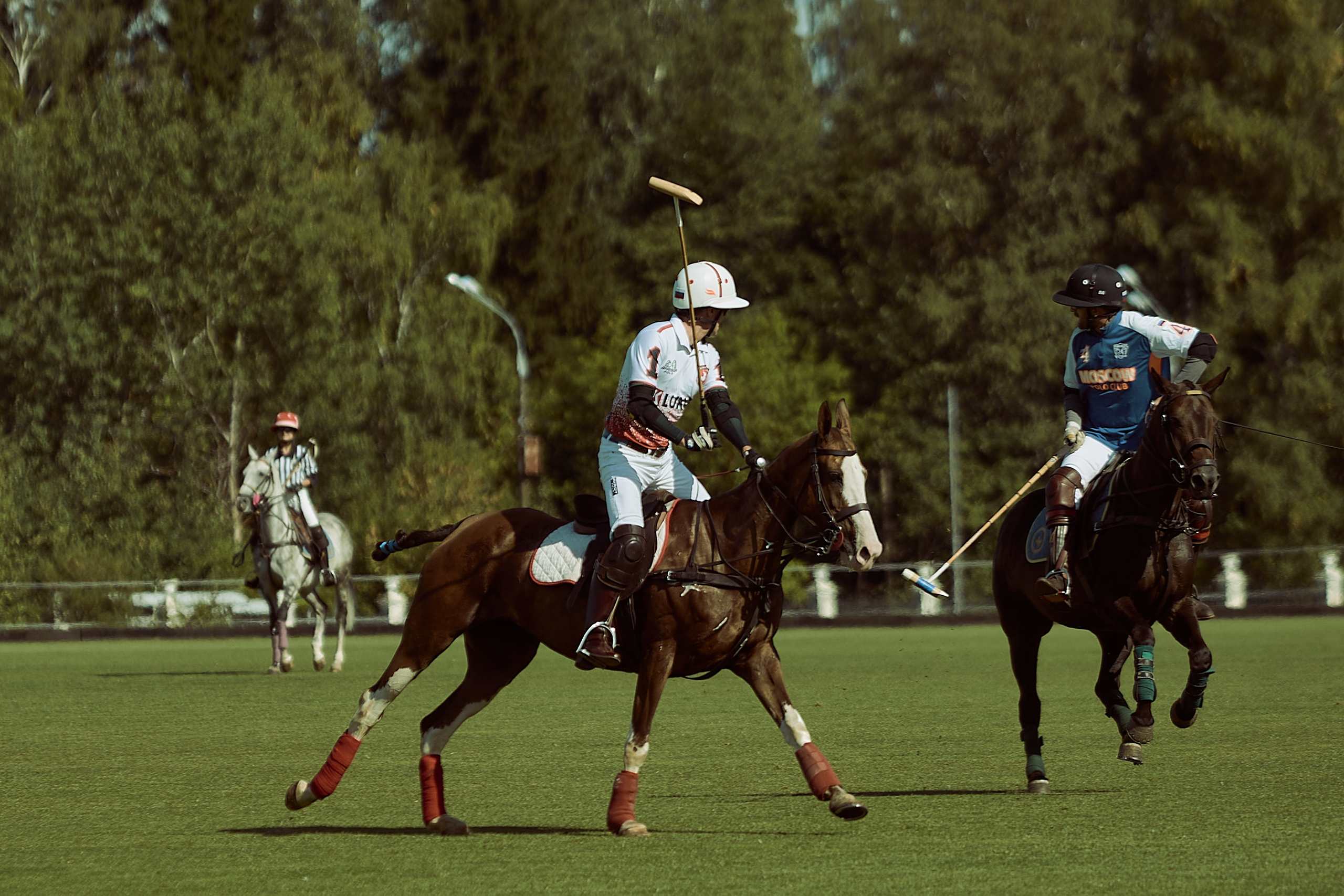 HORSE POLO. Фотограф Наталья Леонова