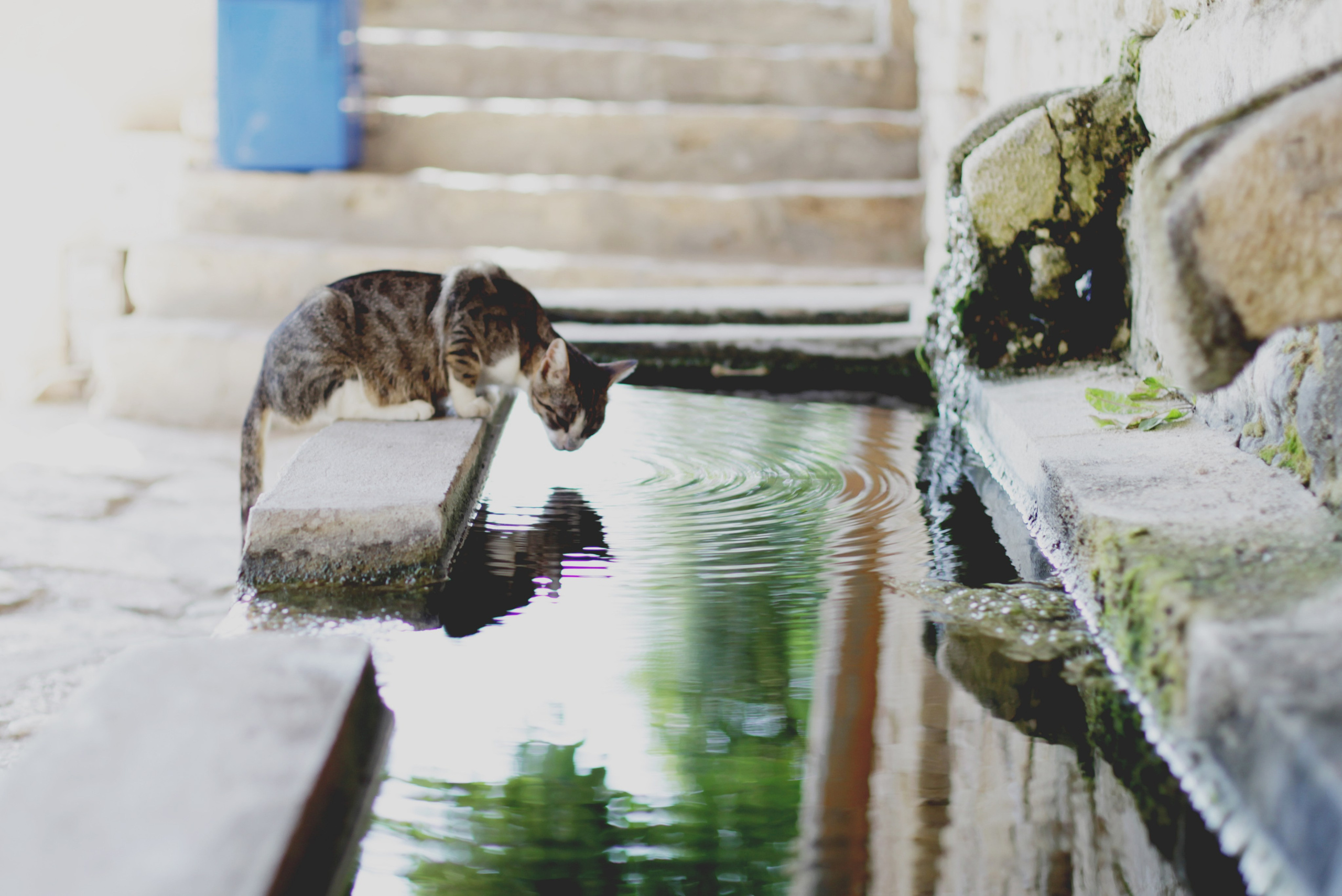 Болгария. Аня Степанова