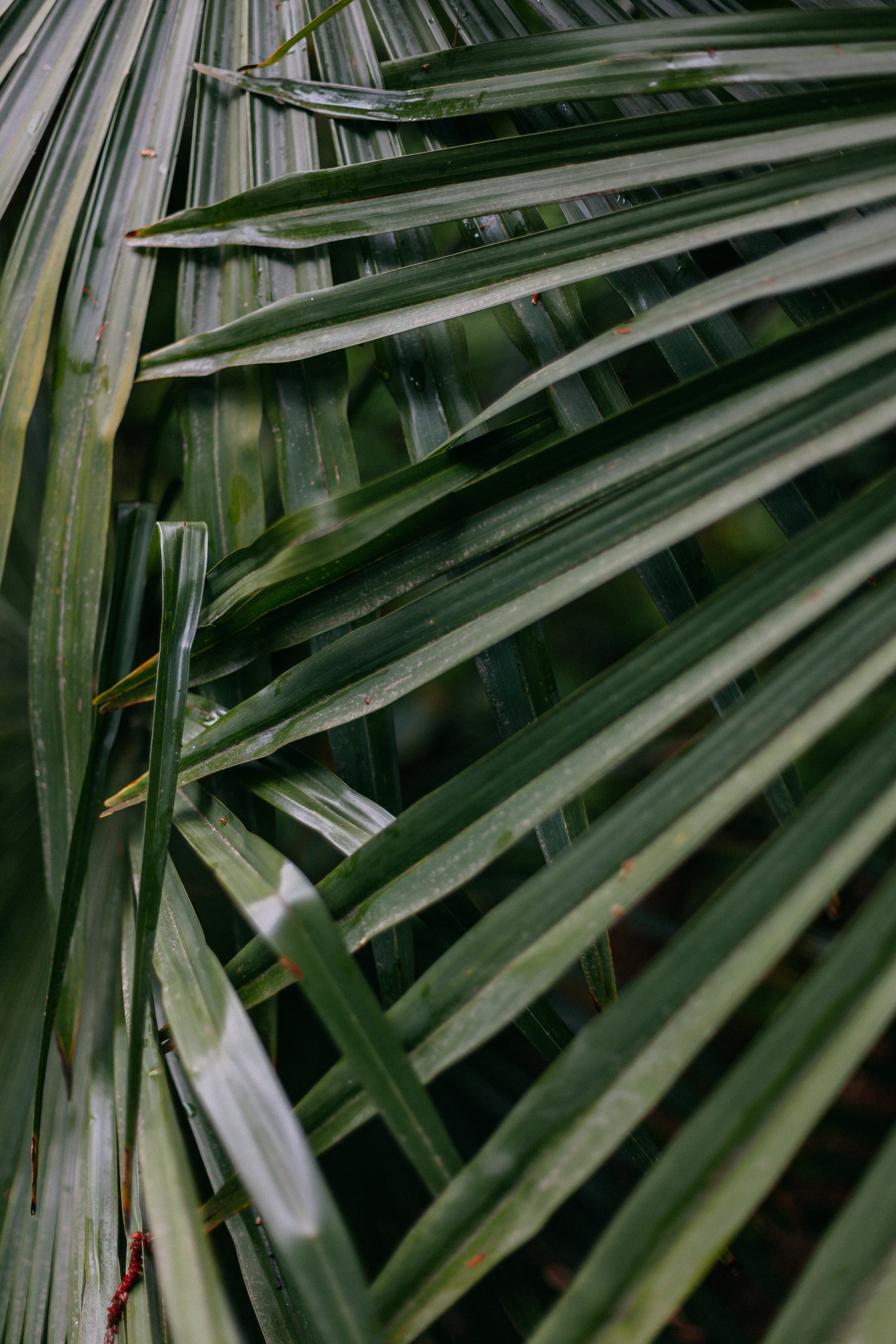 Сочи. Аня Степанова