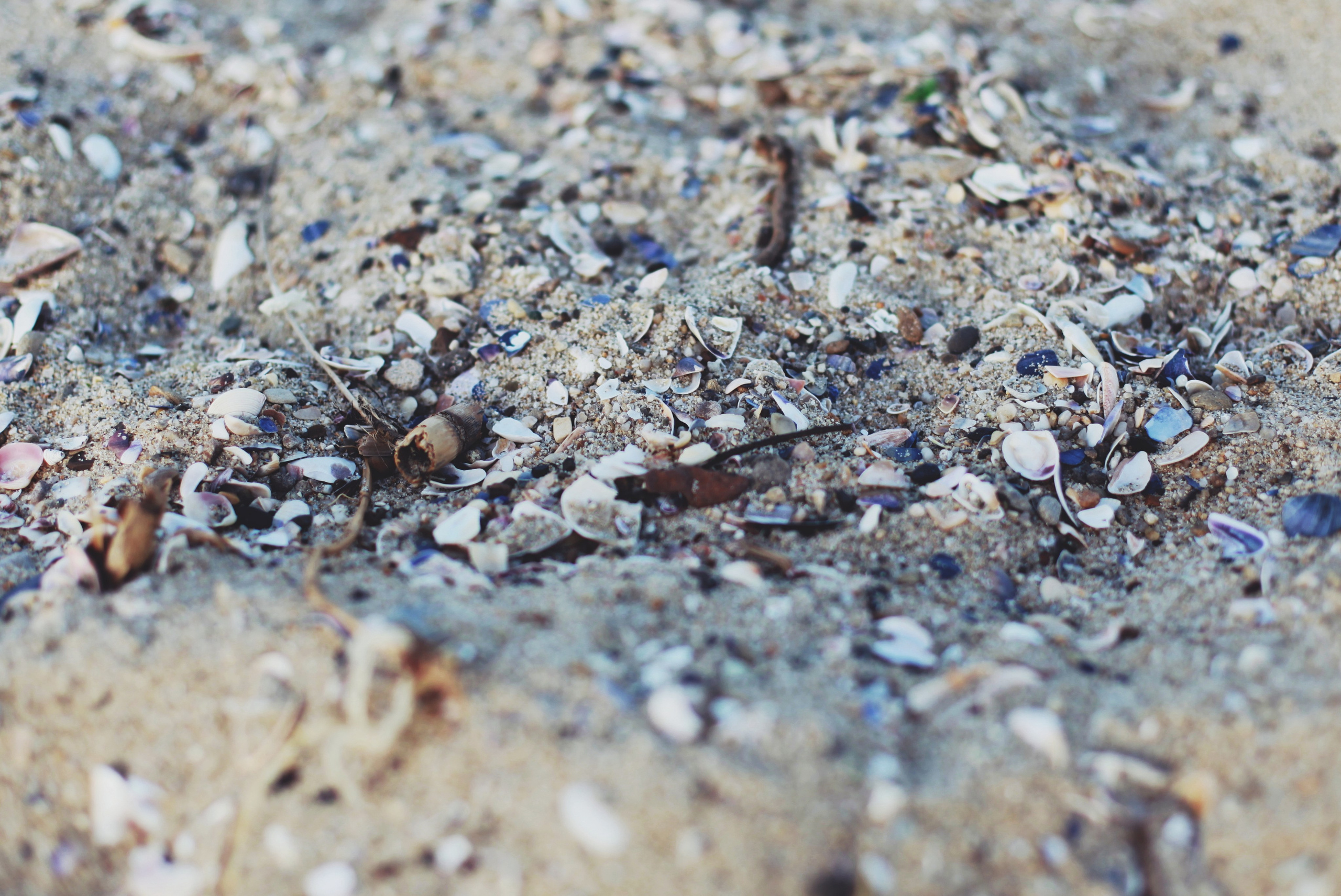 Болгария. Аня Степанова