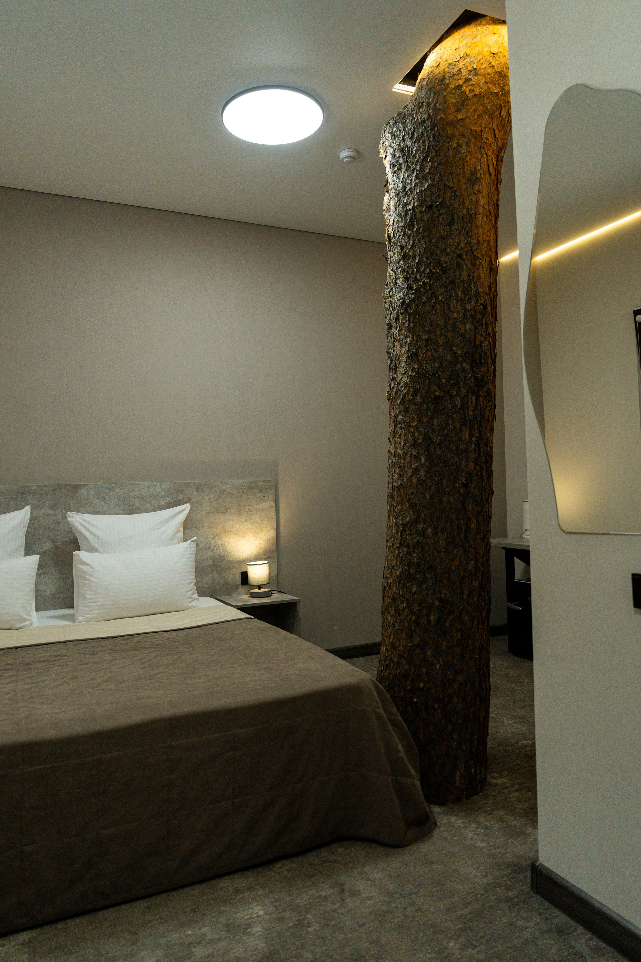 Эклер. Фотограф и видеограф Елена Хмелевская