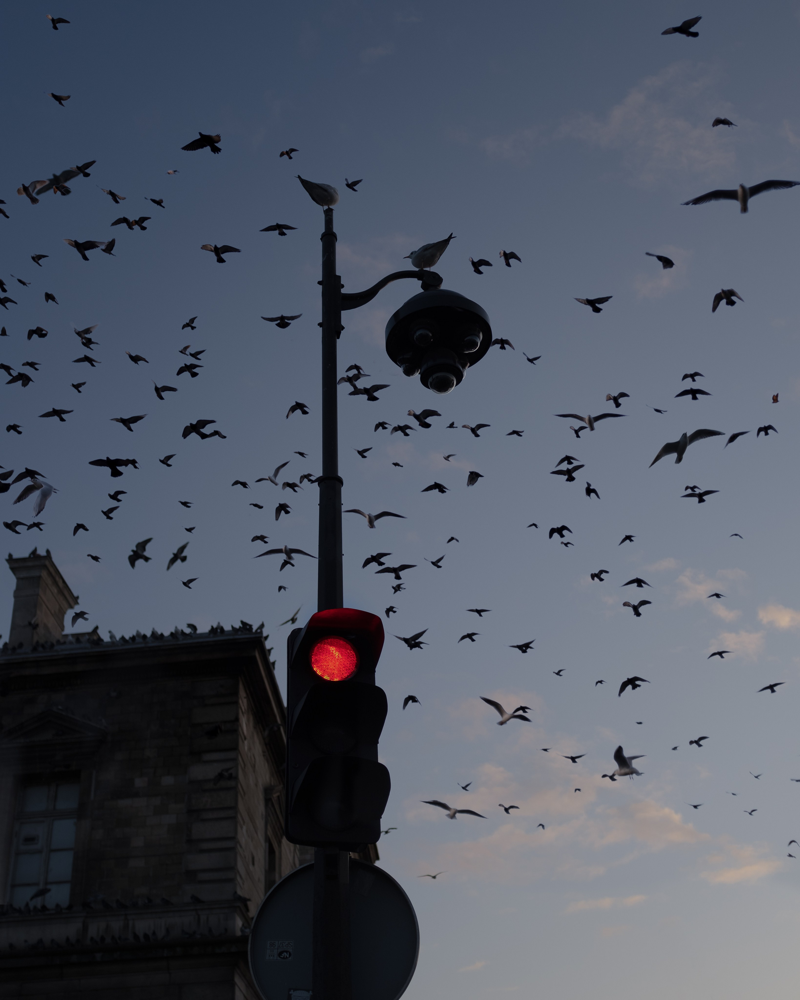 Франция. Фотограф Екатерина Катунова | Москва