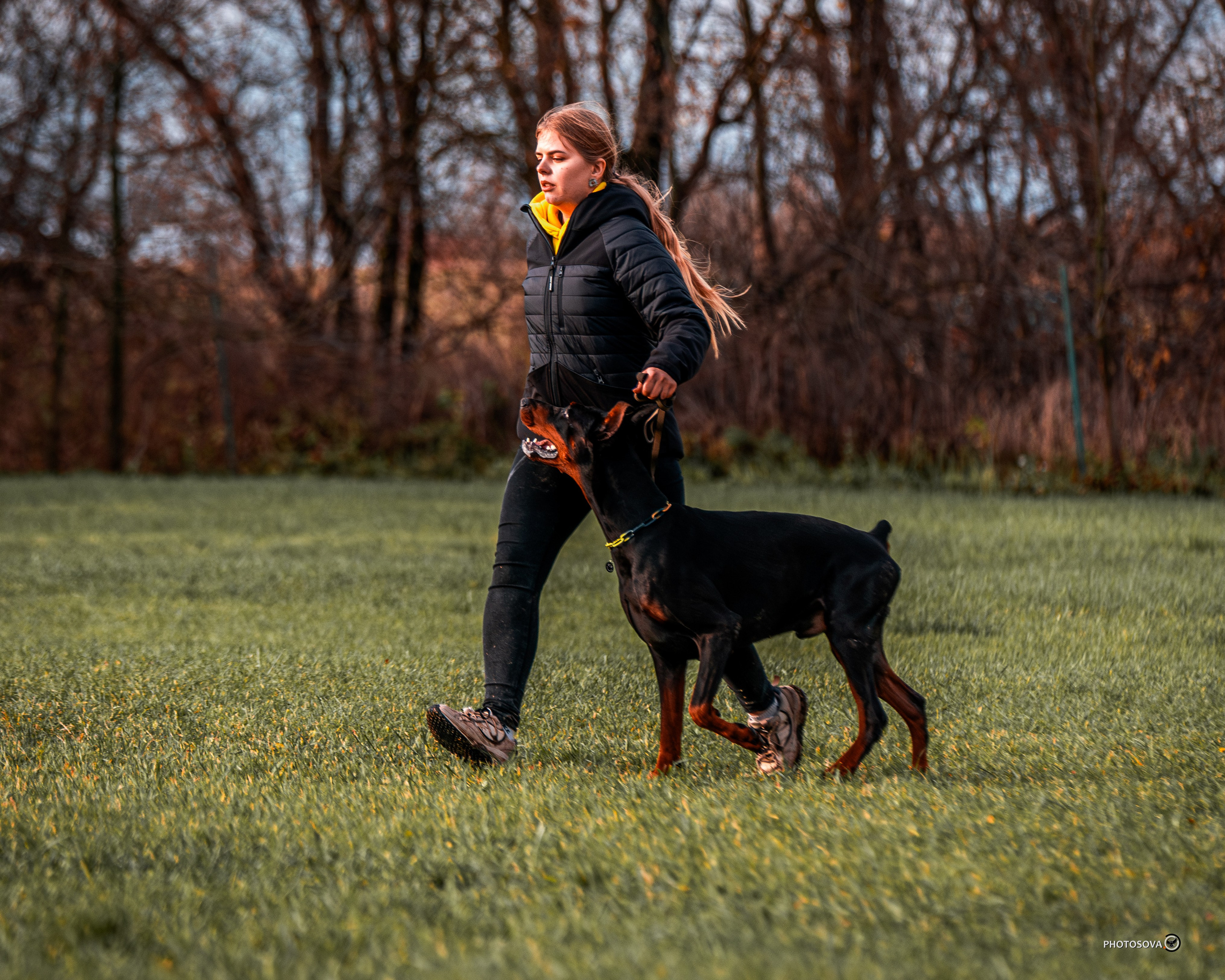 МЫ — КОМАНДА (соревнования) OKD, BH, IBGH, IGP. Фотограф-анималист, семейный фотограф в Москве и Подмосковье. Фотосъёмка кинологических дисциплин