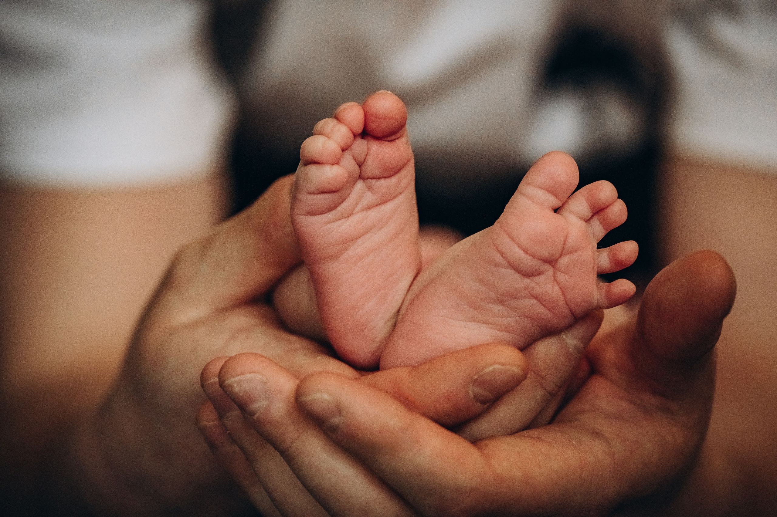 Отзывы о работе фотографа Ивановой Маргариты. Фотограф беременности и семьи, домашние съемки, Ньюборн