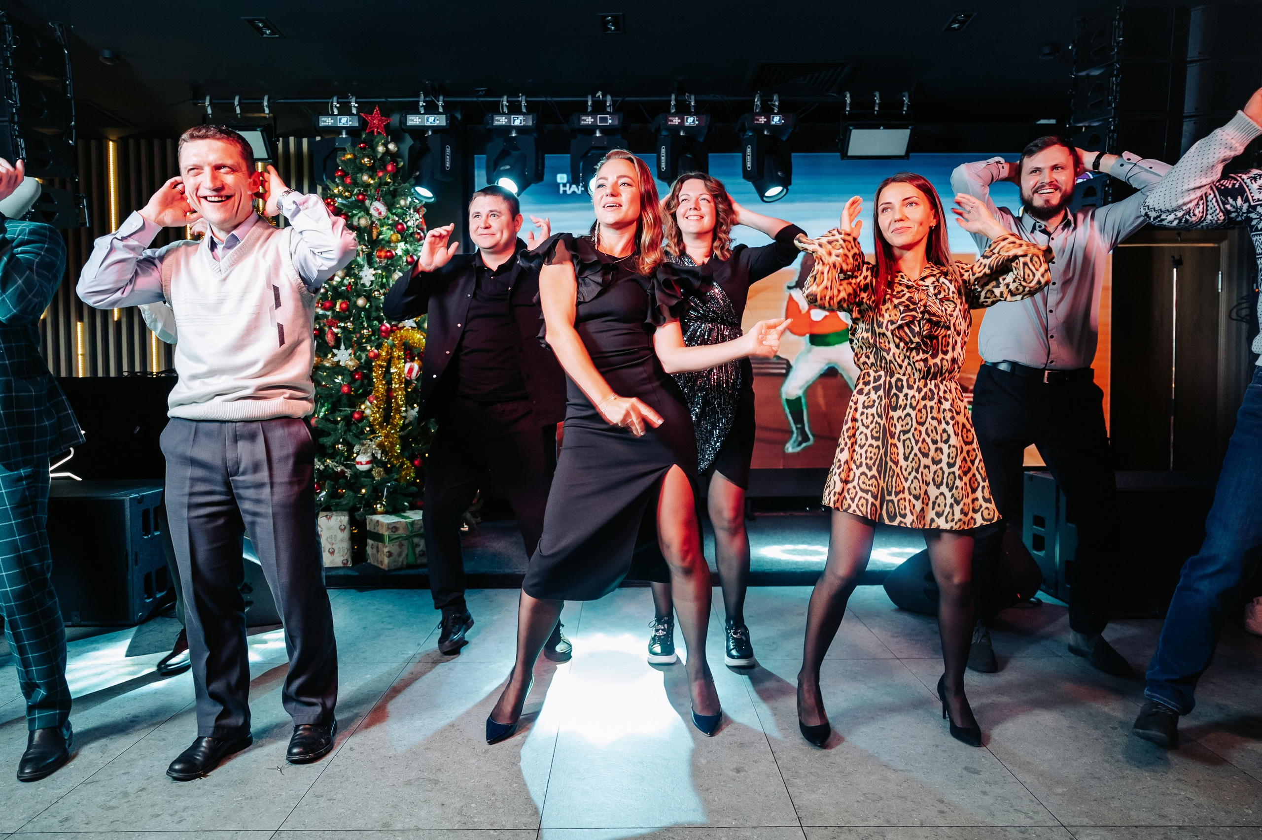 Новогодний корпоратив в караоке баре. Фотограф Дмитрий Сермяжко