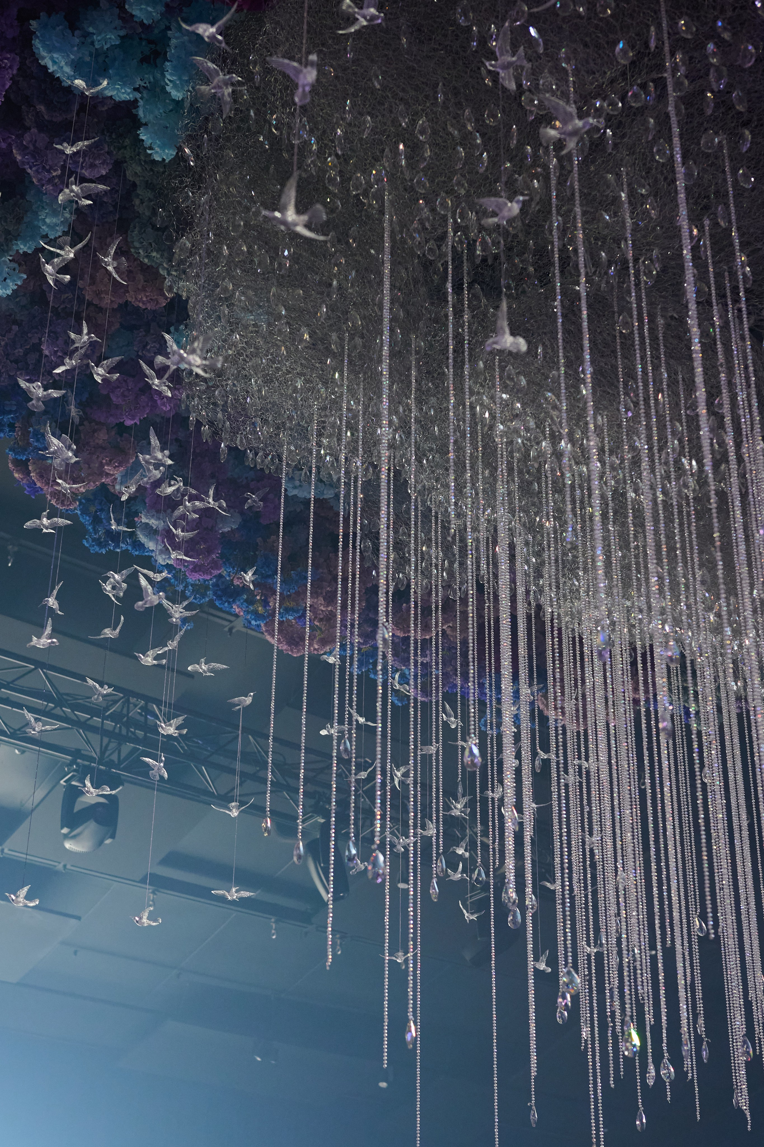 Колибри. Репортажный фотограф в Москве и Санкт-Петербурге — Профессиональная съёмка мероприятий | Данила Золкин