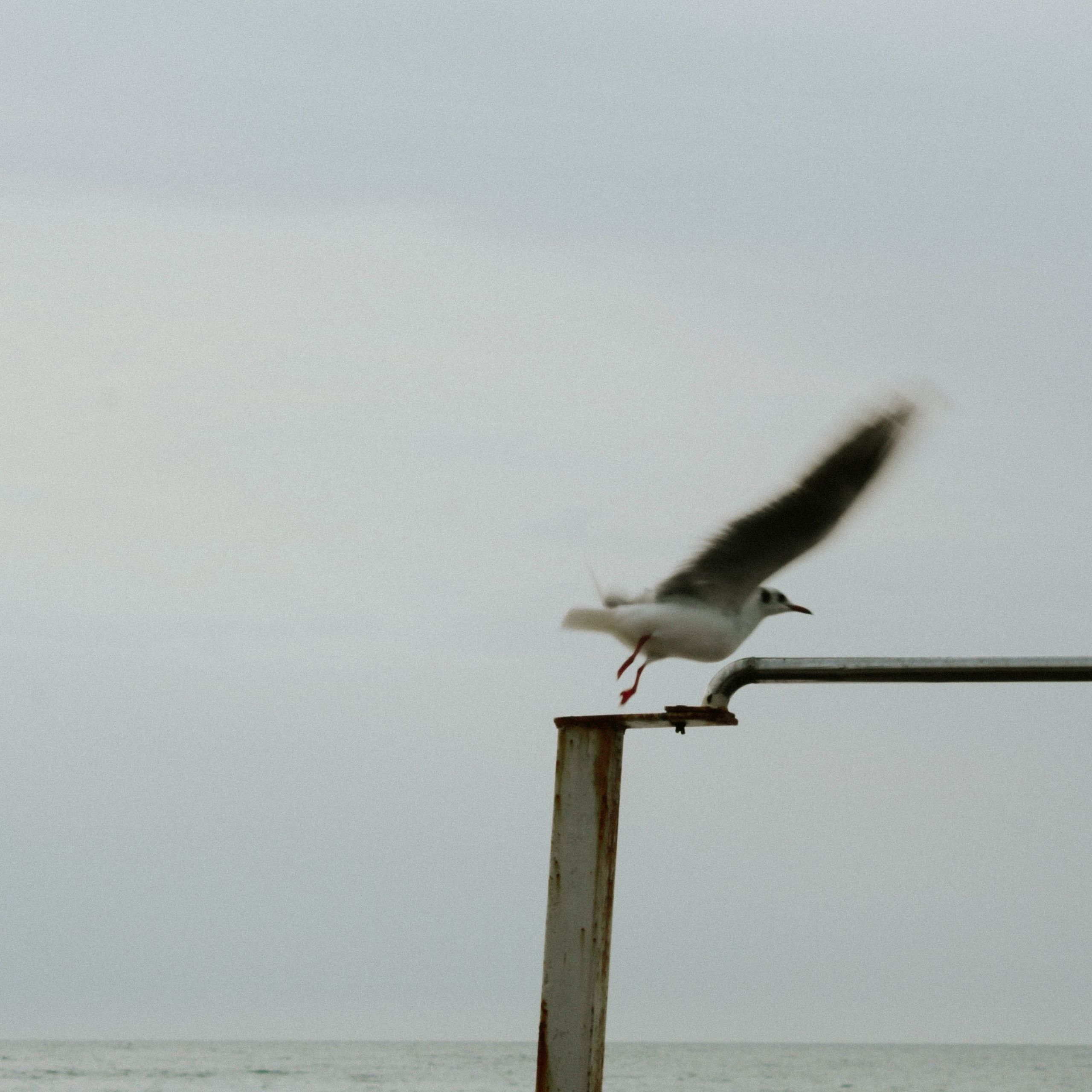 STREET/TRAVEL. Портретный и ню фотограф в Москве Александра Мишура