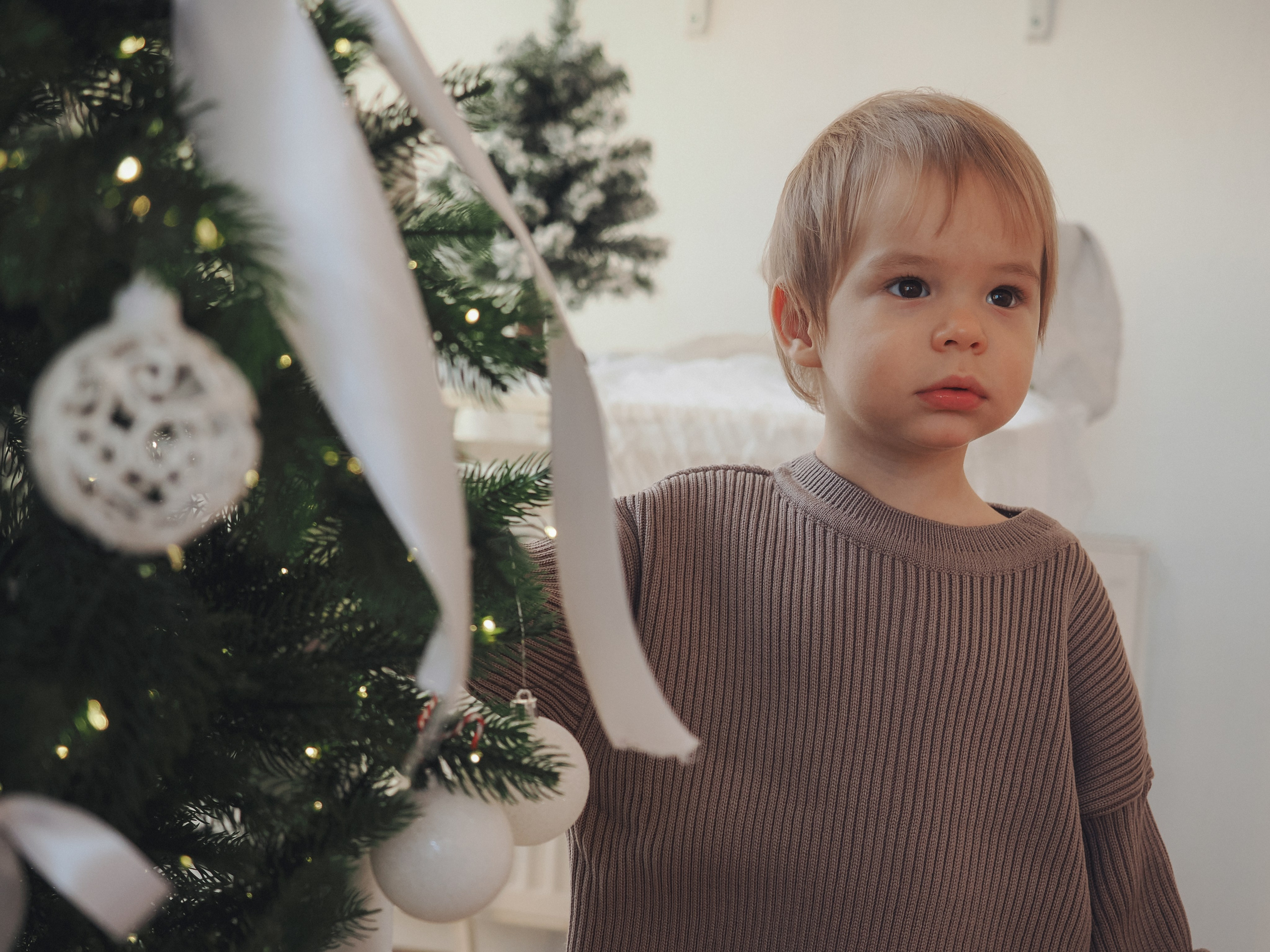 Женя с Новым годом!. Фотограф в Москве — Сергей Люкшинов