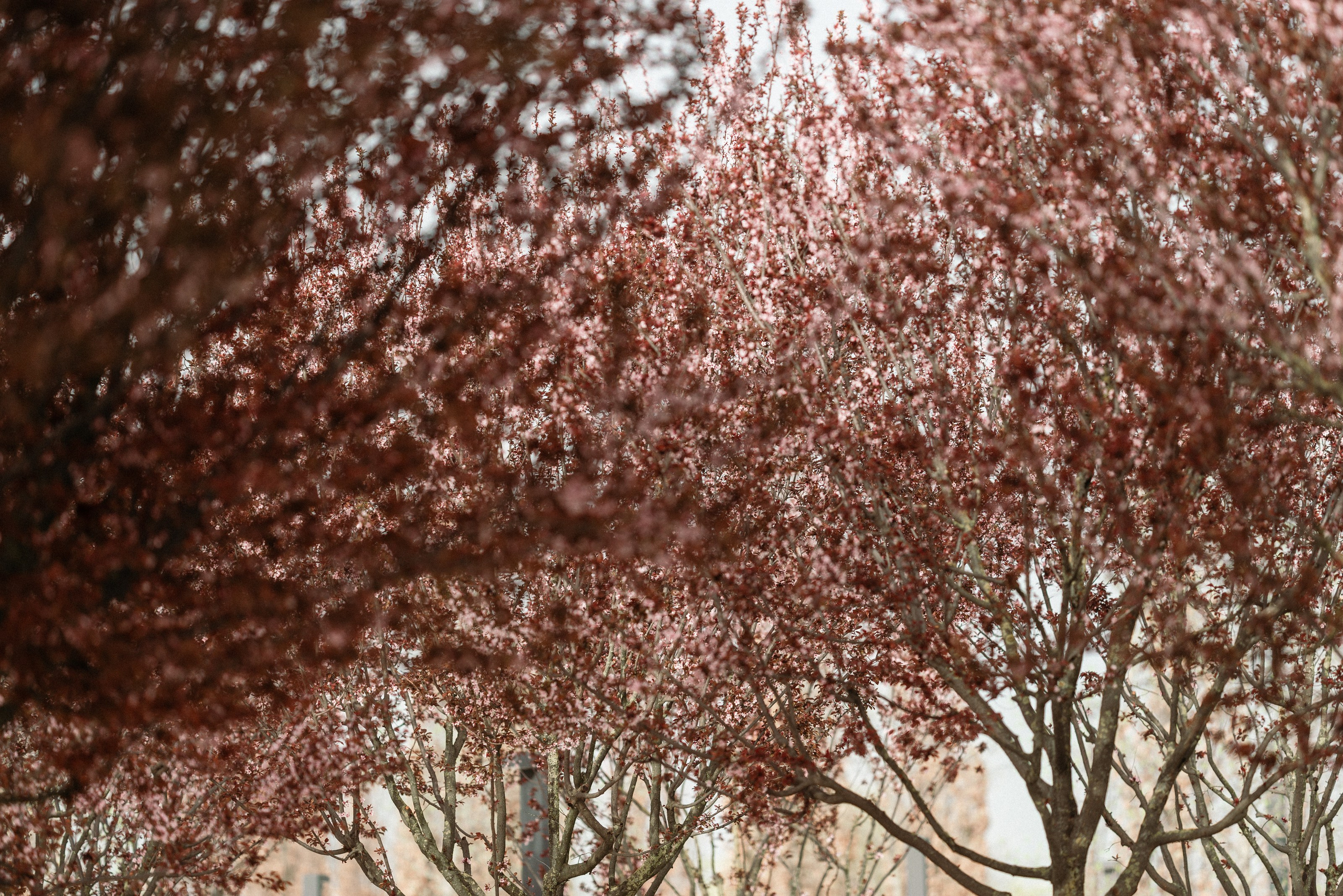 Женственность. Женский и семейный фотограф Сочи и Краснодар Ольга Маловик