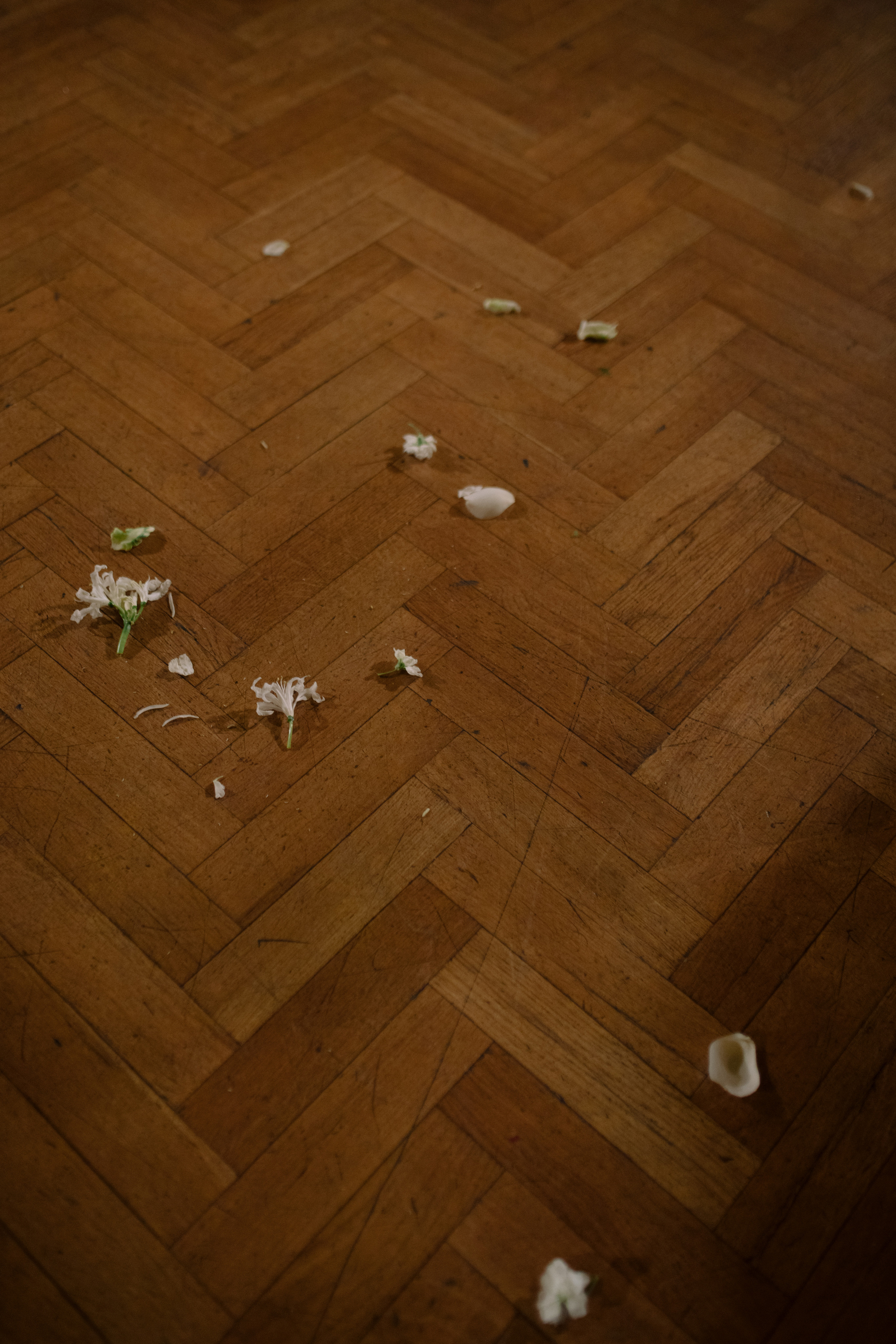 Герцог и Герцогиня. Фотограф Санкт-Петербург