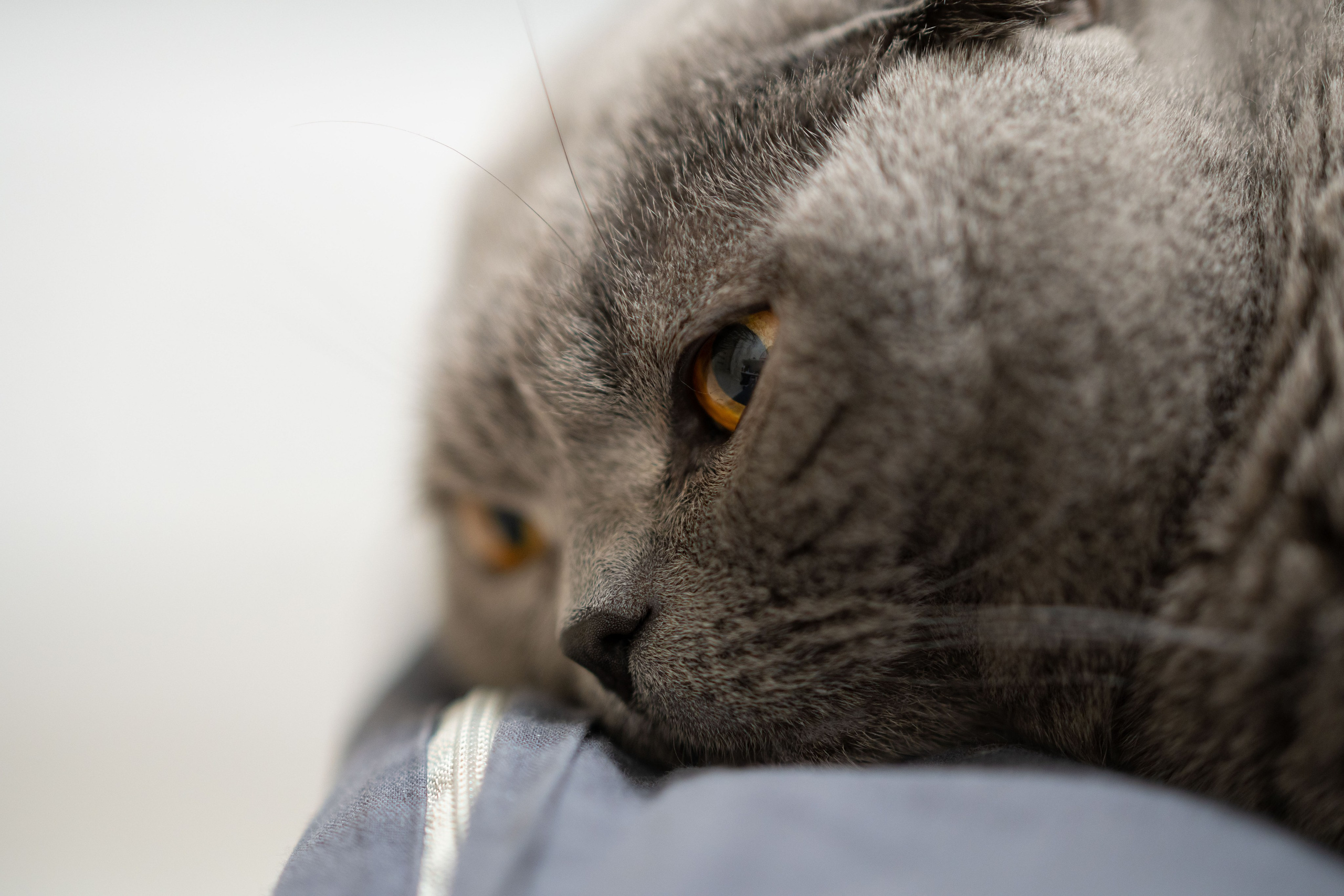 Кефир. Photography&Video