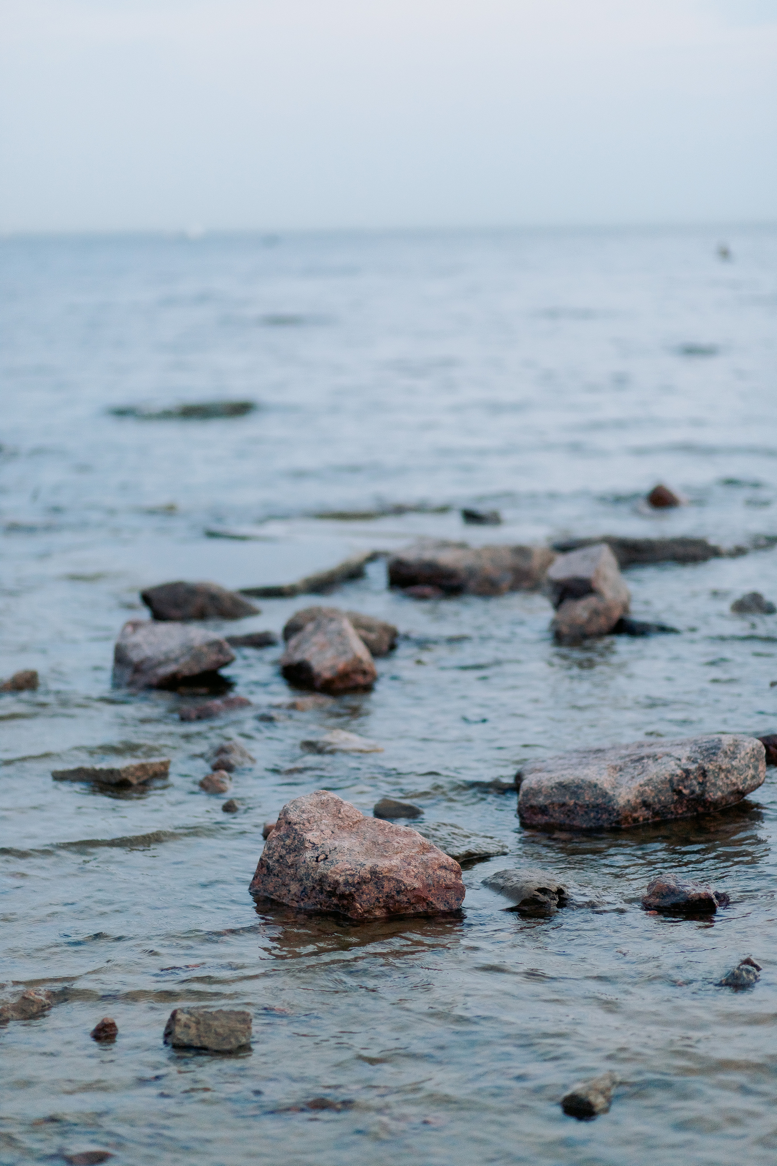 Фотосессия в парке 300 летия В Санкт-Петербурге. Фотограф в Санкт-Петербурге, Анна Скворцова