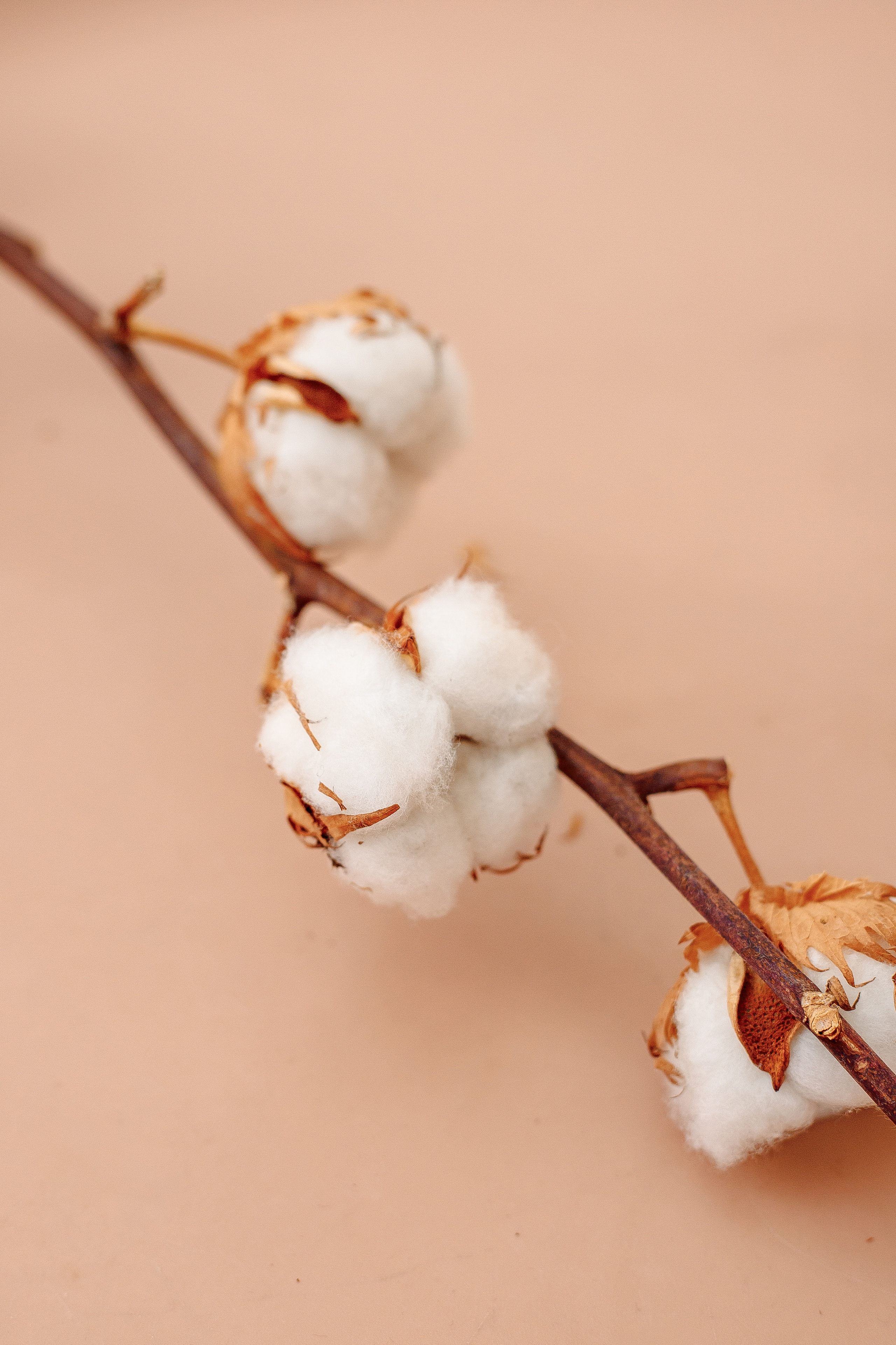 Наталья. Фотограф в Санкт-Петербурге, Анна Скворцова