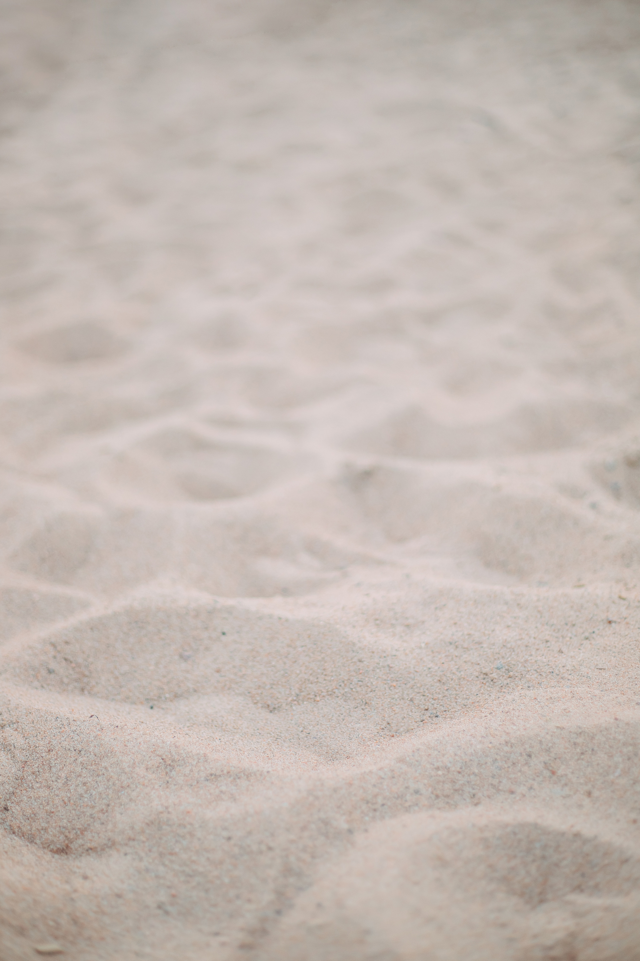 Фотосессия в парке 300 летия В Санкт-Петербурге. Фотограф в Санкт-Петербурге, Анна Скворцова