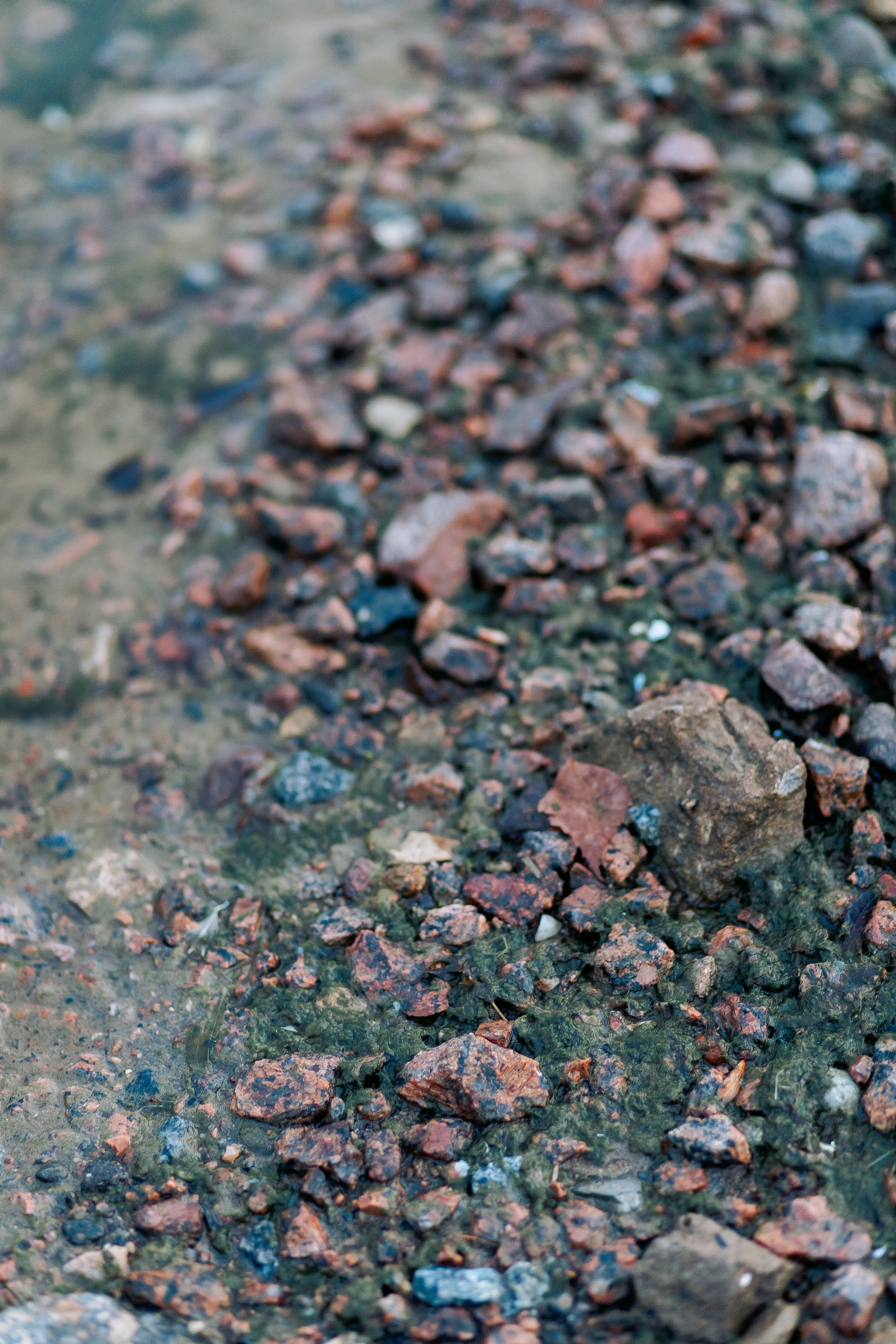 Фотосессия в парке 300 летия В Санкт-Петербурге. Фотограф в Санкт-Петербурге, Анна Скворцова