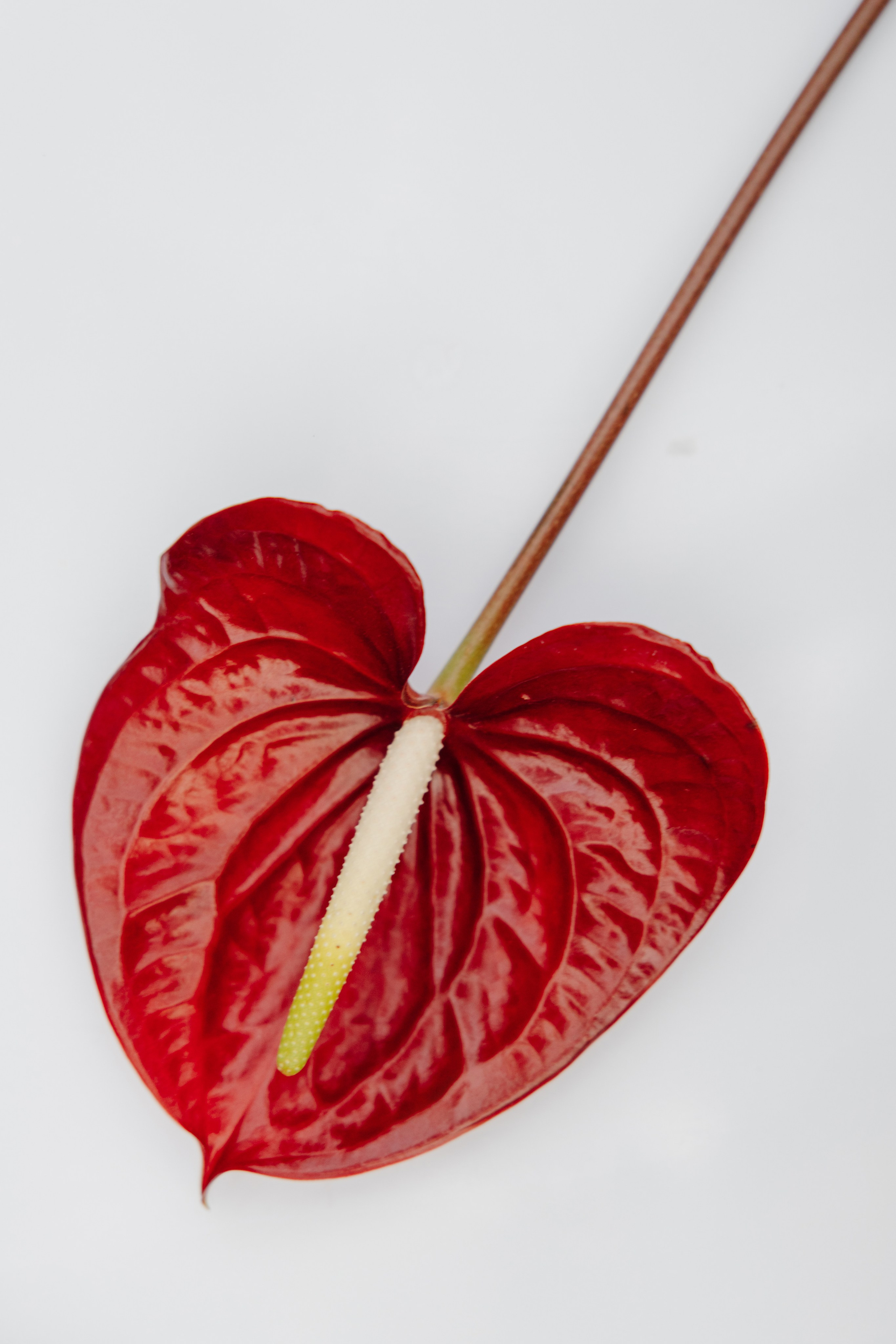 ГРЕНАДА. Фотограф в Красноярске